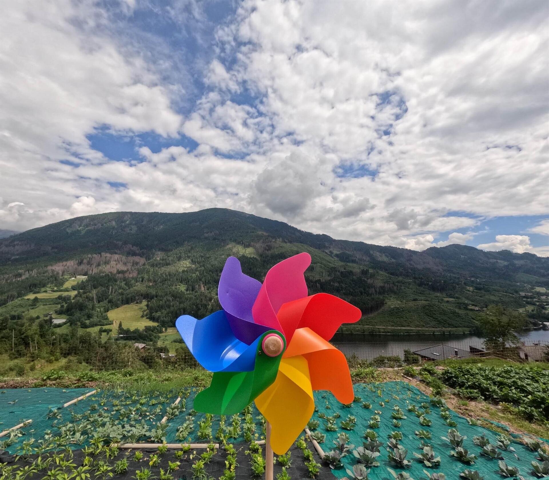 Orto Montagna Maso Vecchia Quercia