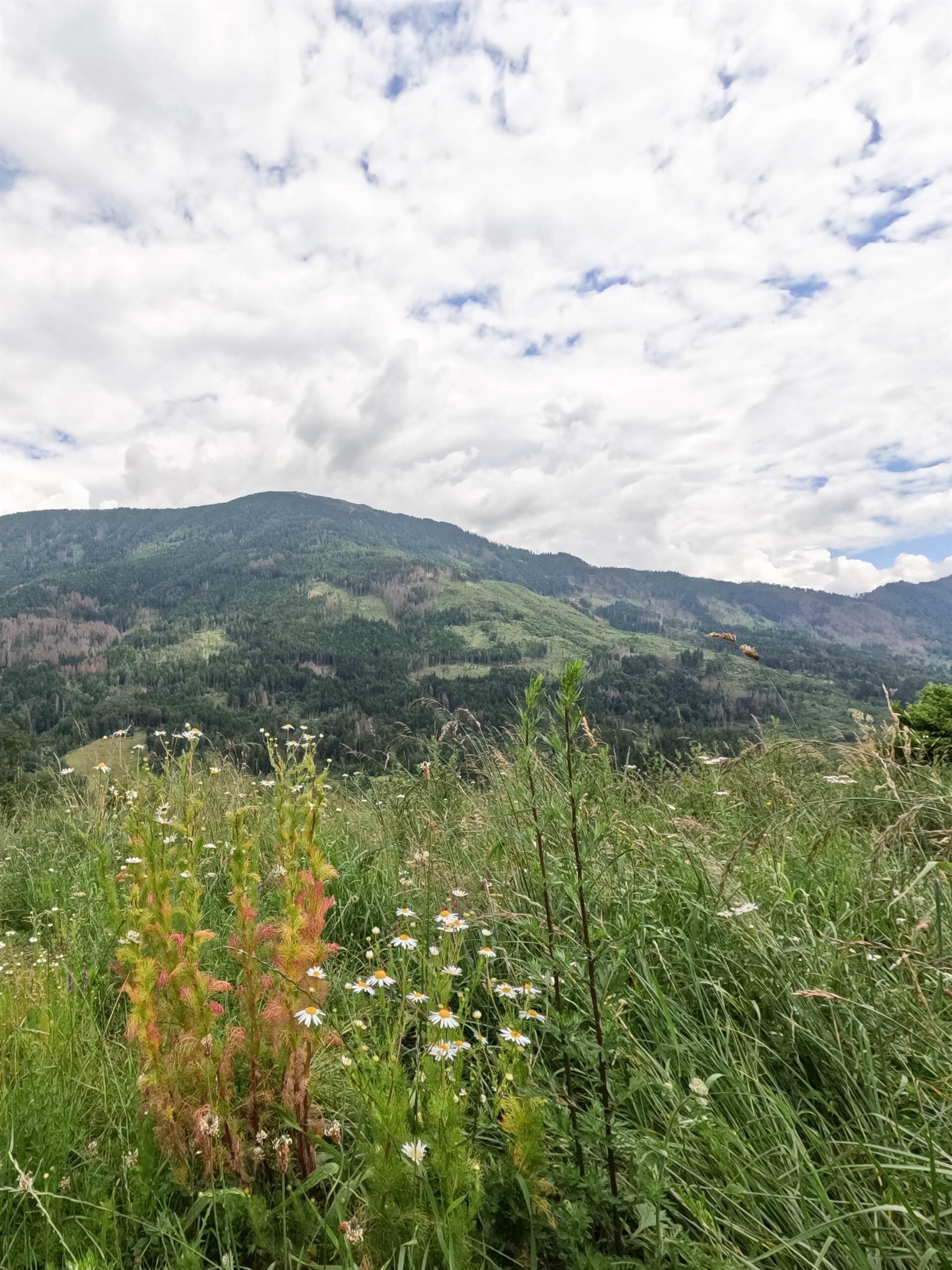 Montagna Maso Vecchia Quercia