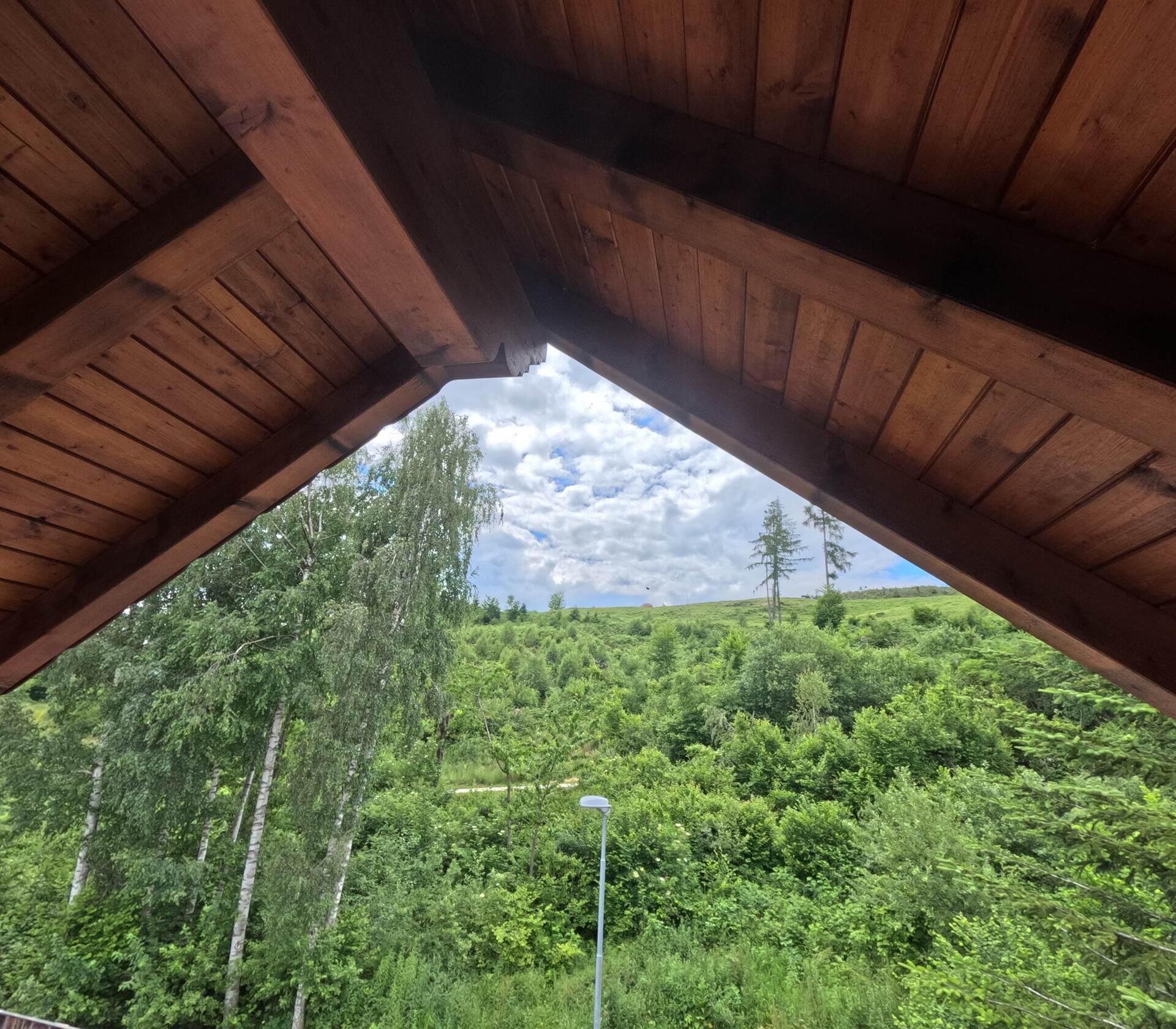 Vista Bosco Maso Vecchia Quercia