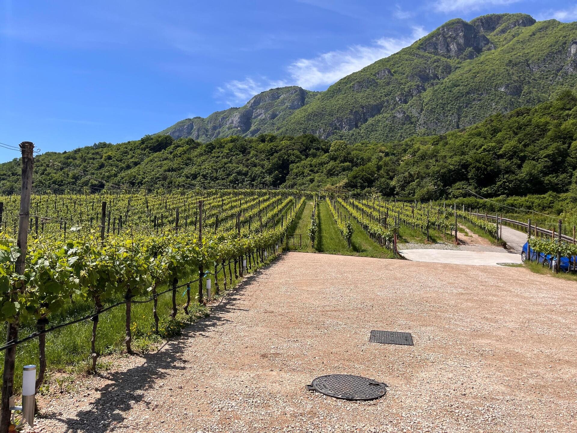 Agriturismo Margone, Trento (9)