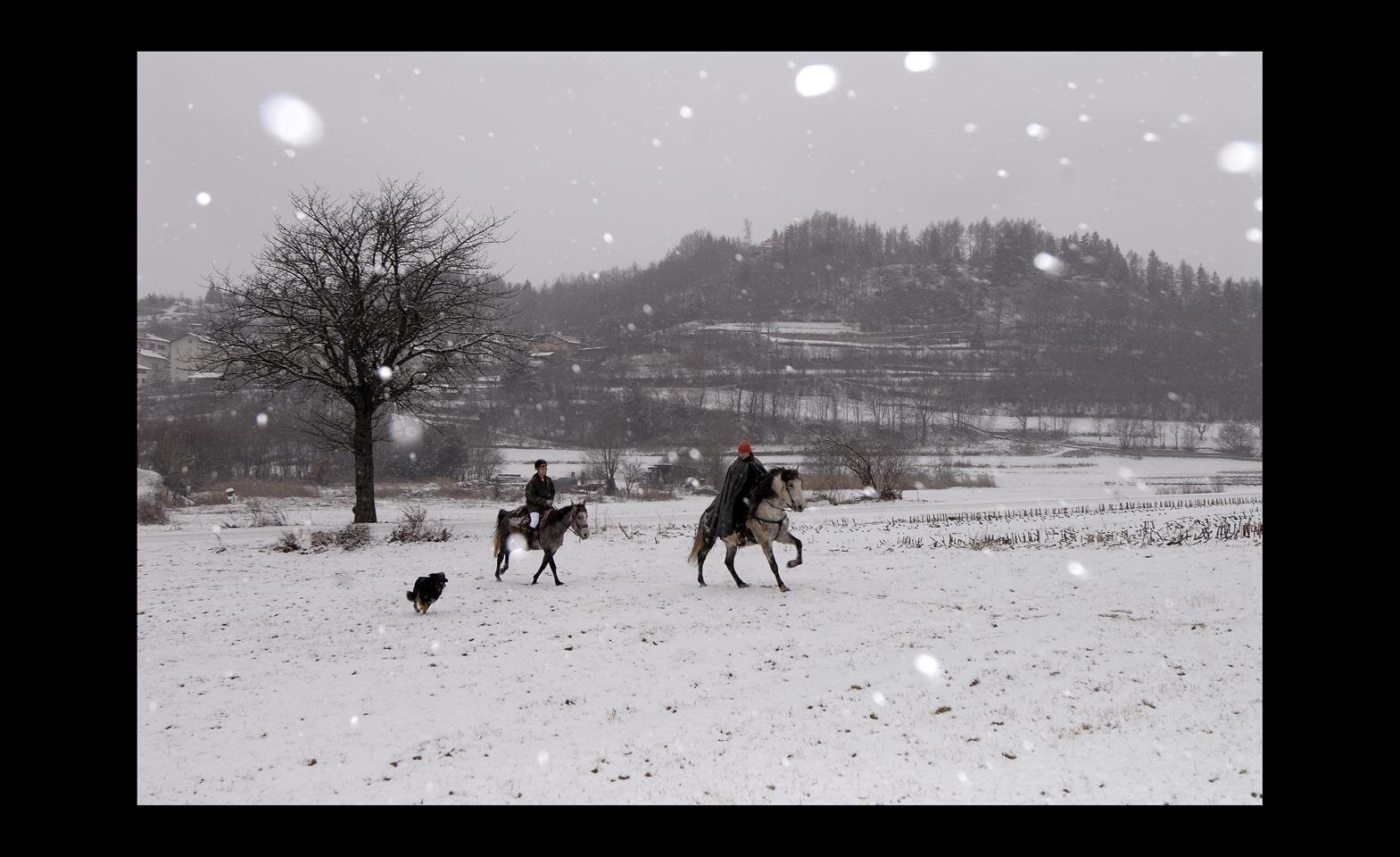 INVERNO A  CAVALLO
