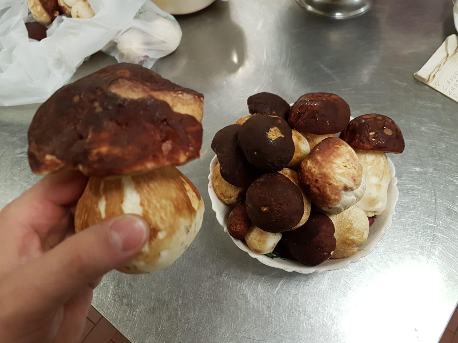 porcini in cucina