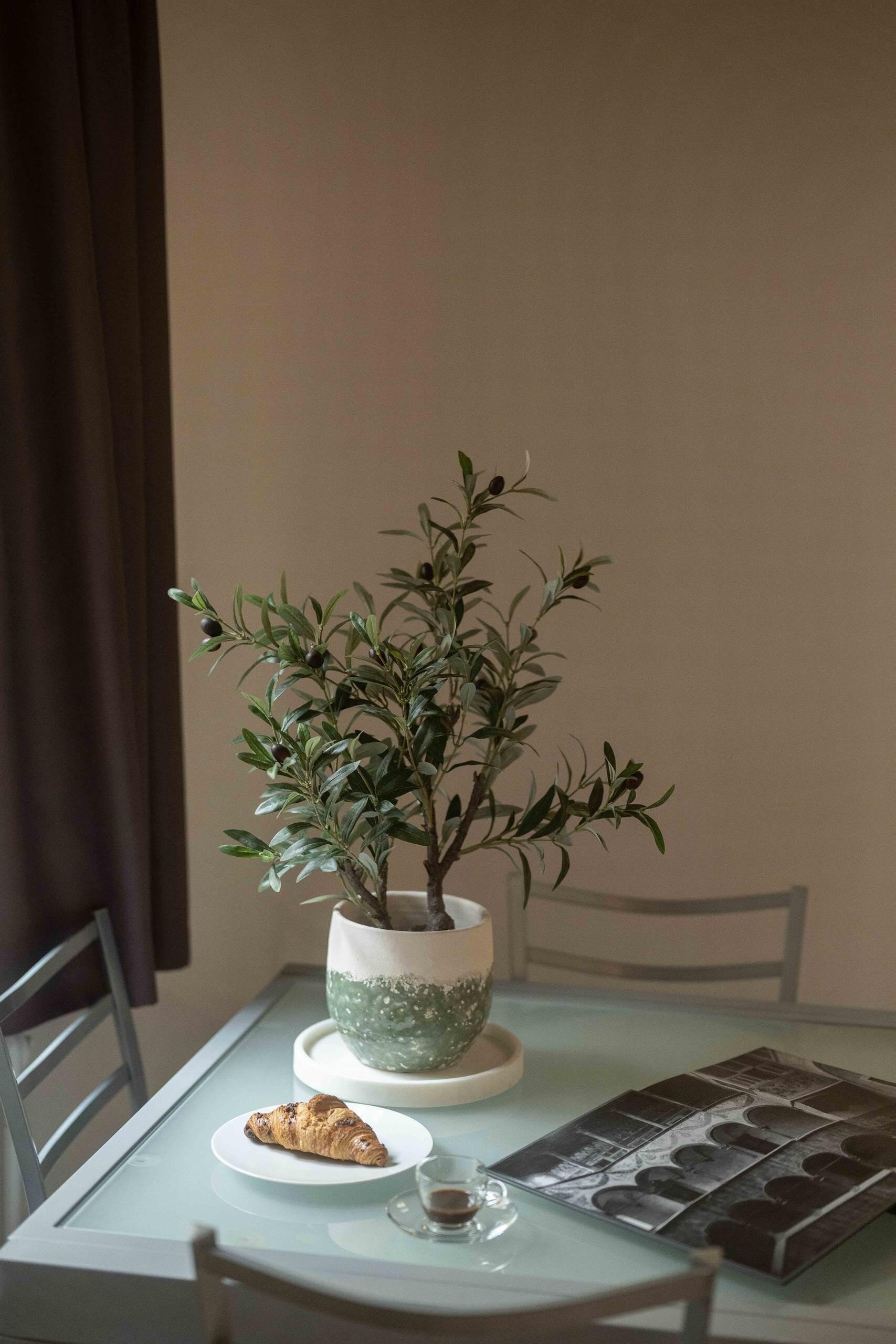 Conciulium_Conciulium_DSC_2369