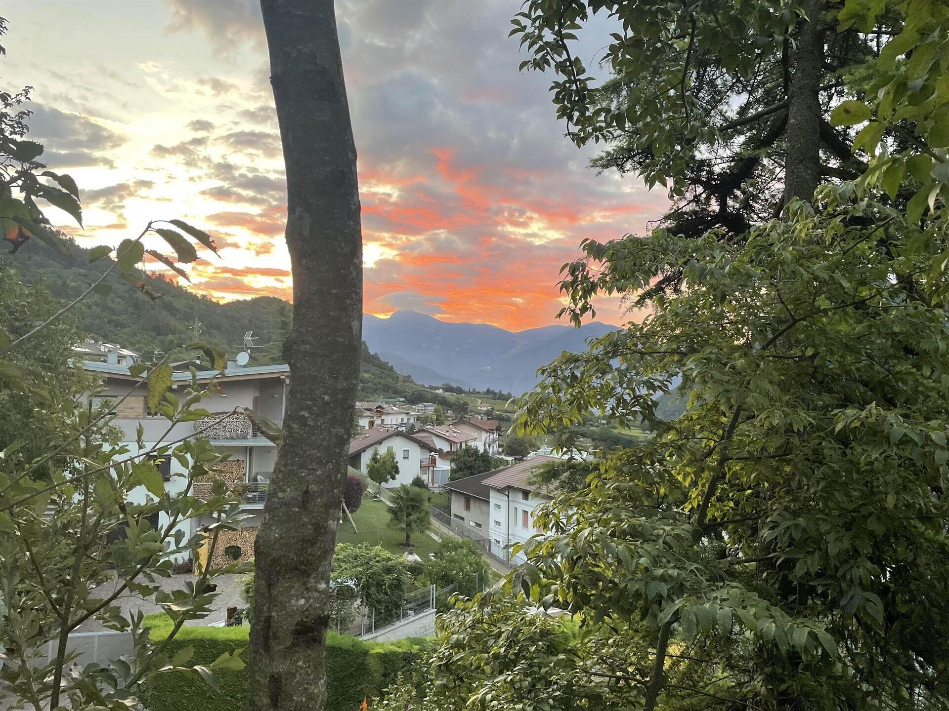 Images Trn 1 C260ab04 8bf9 41a3 81e5 73be35699d60 99 Image