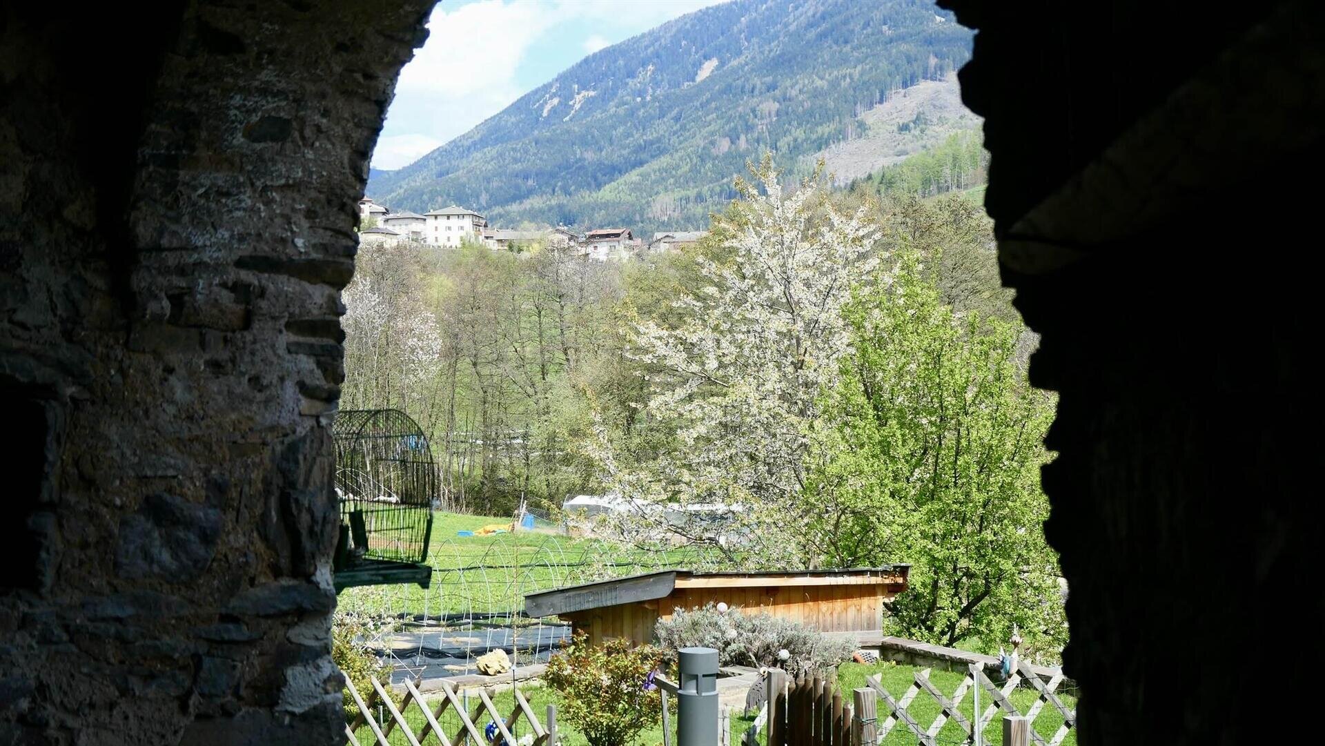 9D401E68-F26E-44A6-92D9-4DF53686A738_1_201_a