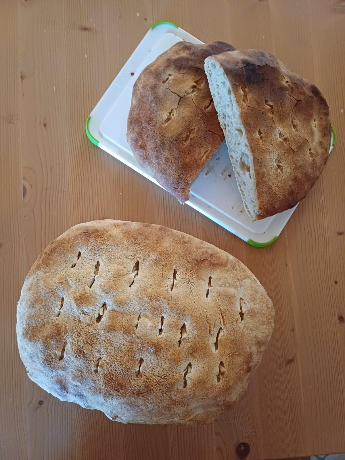 Images Trn 1 Ece7e6fd C4ae 4634 Ada9 A9f3c766c637 99 Image