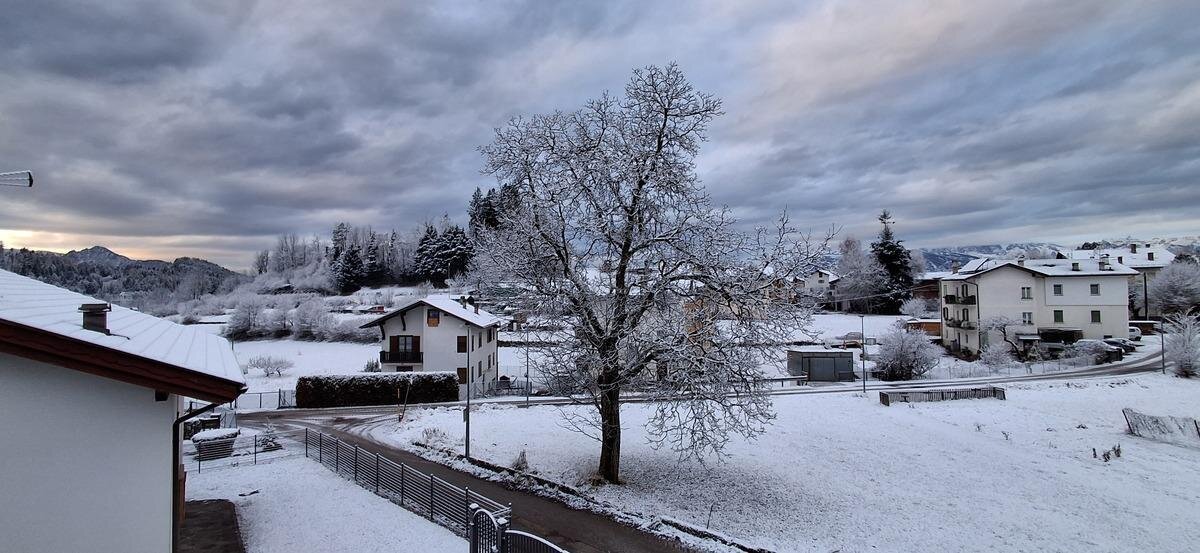 Images Trn 1 C16fda18 7e3a 4915 8b8e 29eb89677939 99 Image