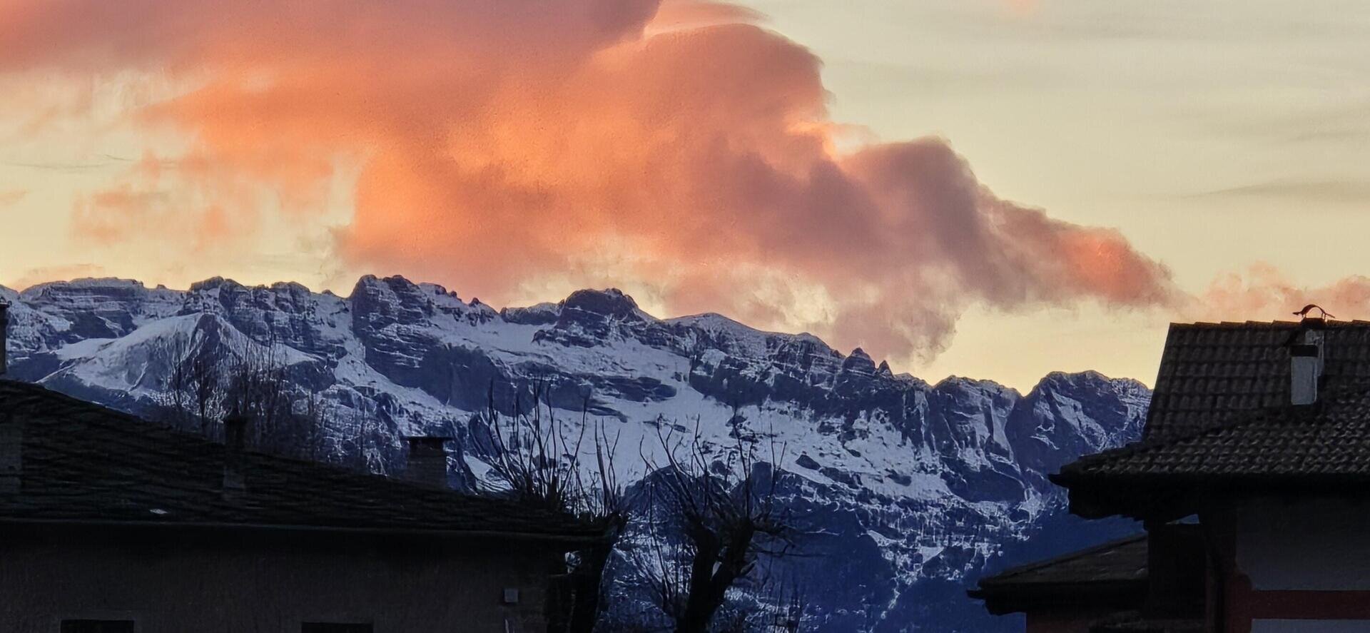 Images Trn 1 18b8e385 5703 45b6 B0b0 0bde4577b772 99 Image