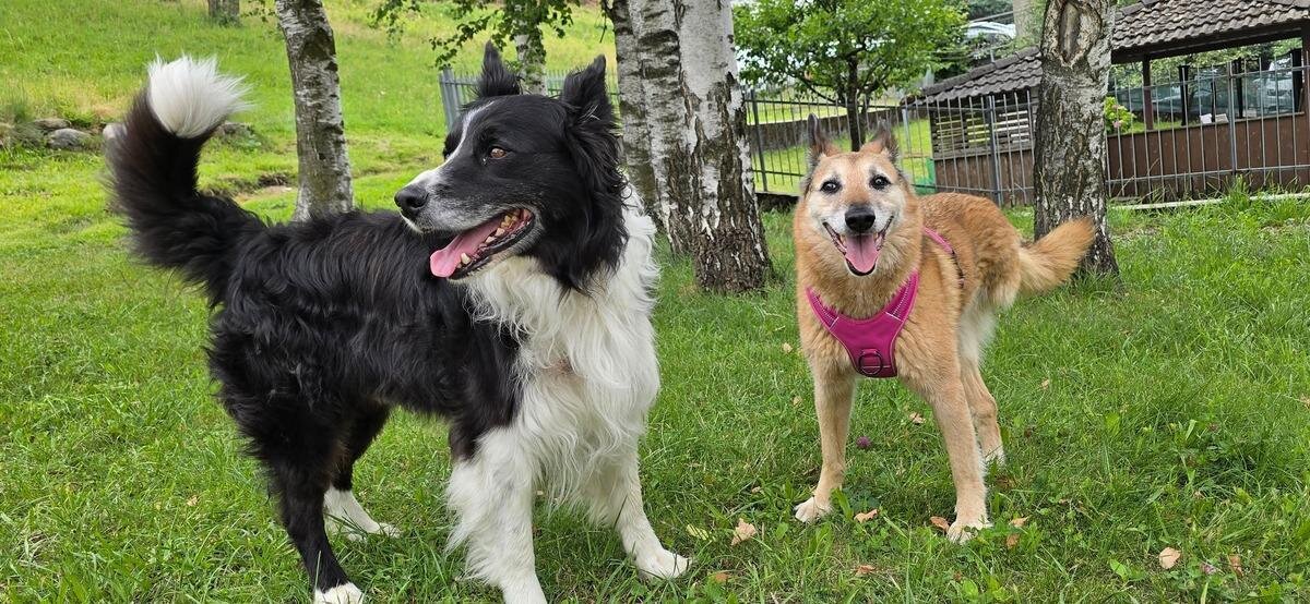 Images Trn 1 C90459c0 3cf5 49aa 851d 596794e56858 99 Image