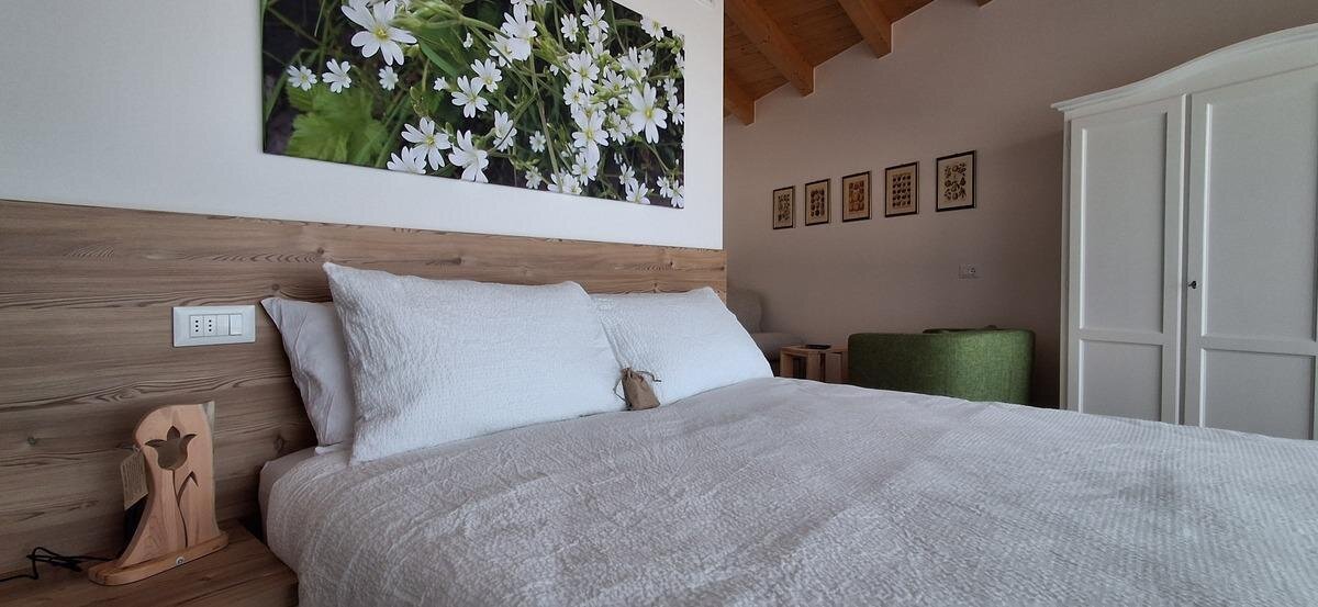 Images Trn 1 B671436d 2929 44ca 9e99 75a1ceaad6b8 99 Image