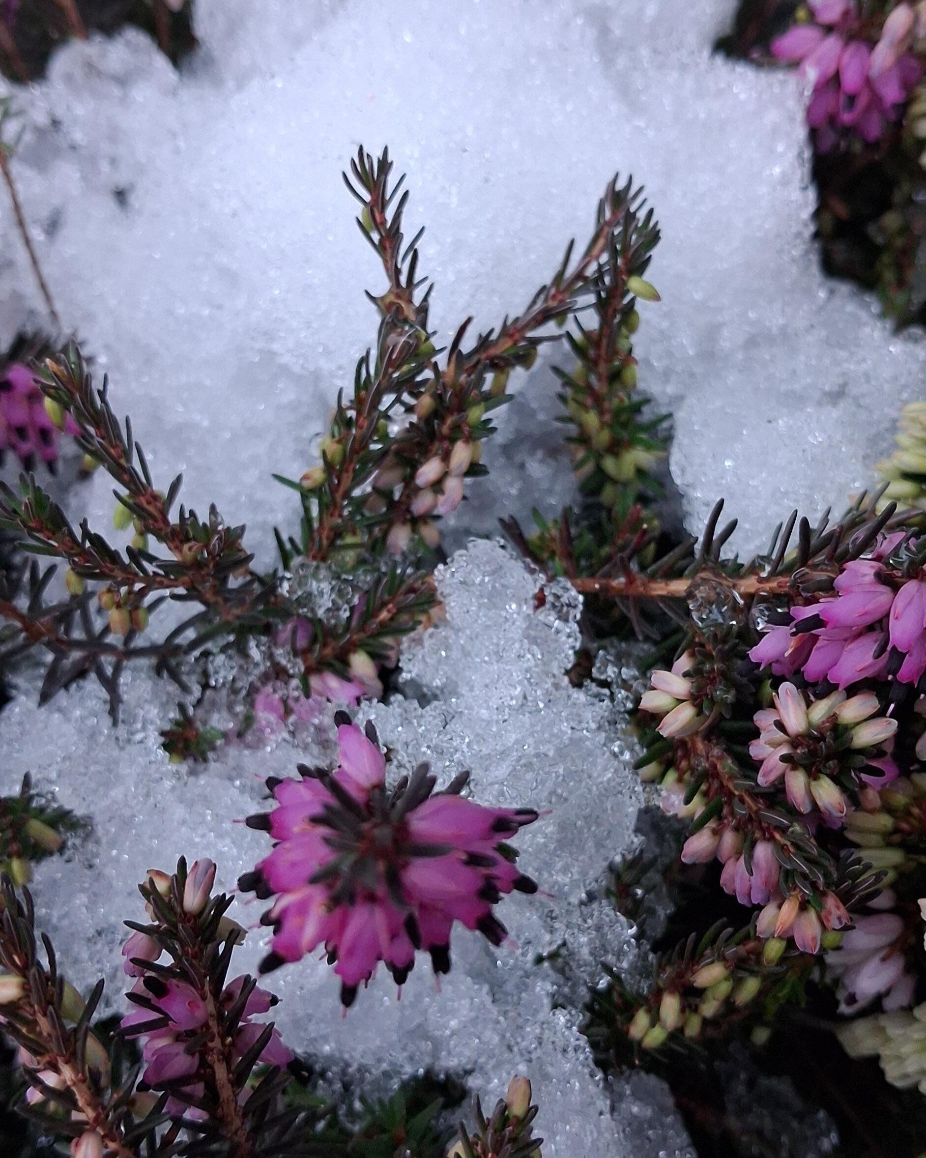 Images Trn 1 050d6a40 7fde 446c 8c22 97e7a60c3988 99 Image