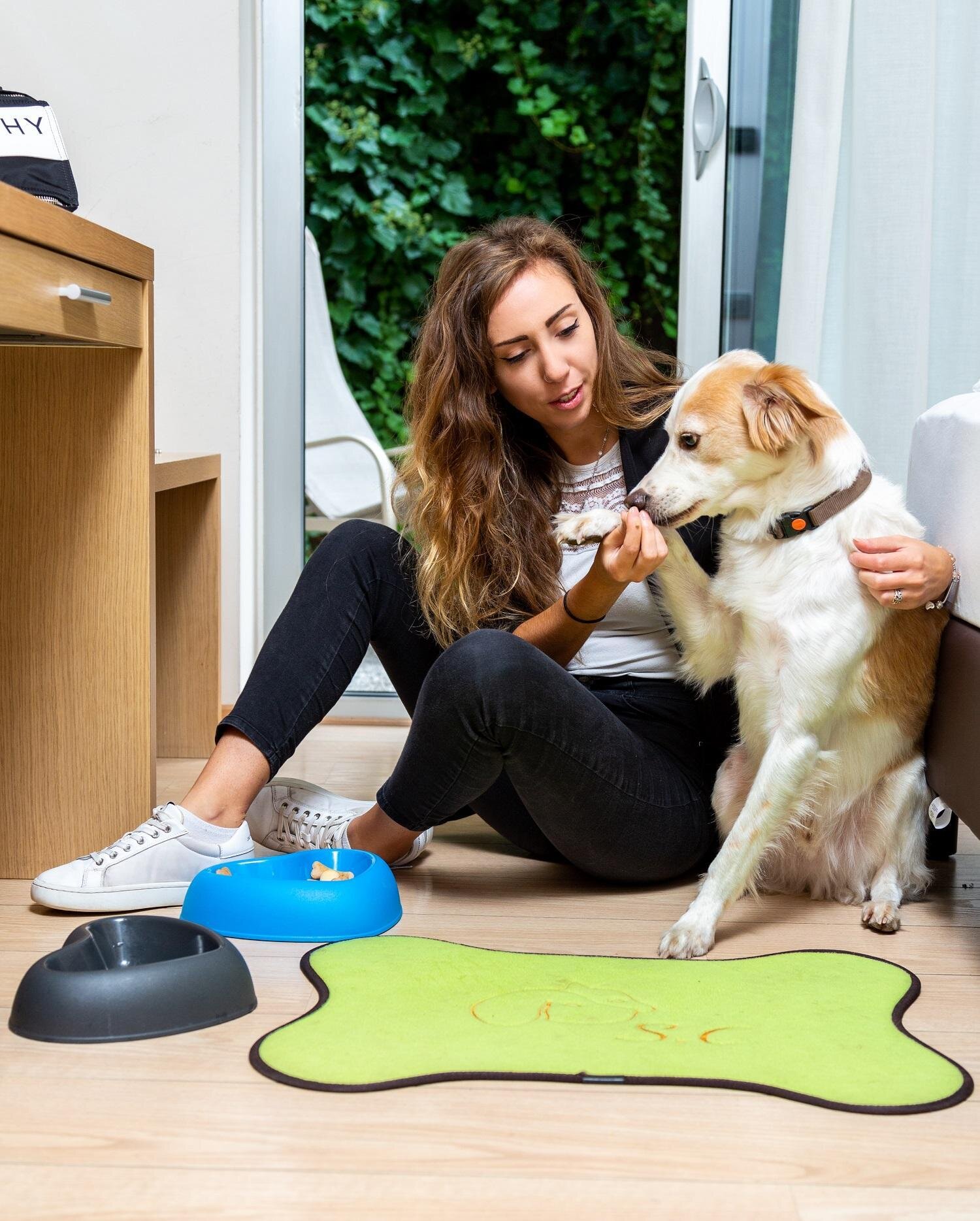 Best Western Hotel Adige - Trento (7)