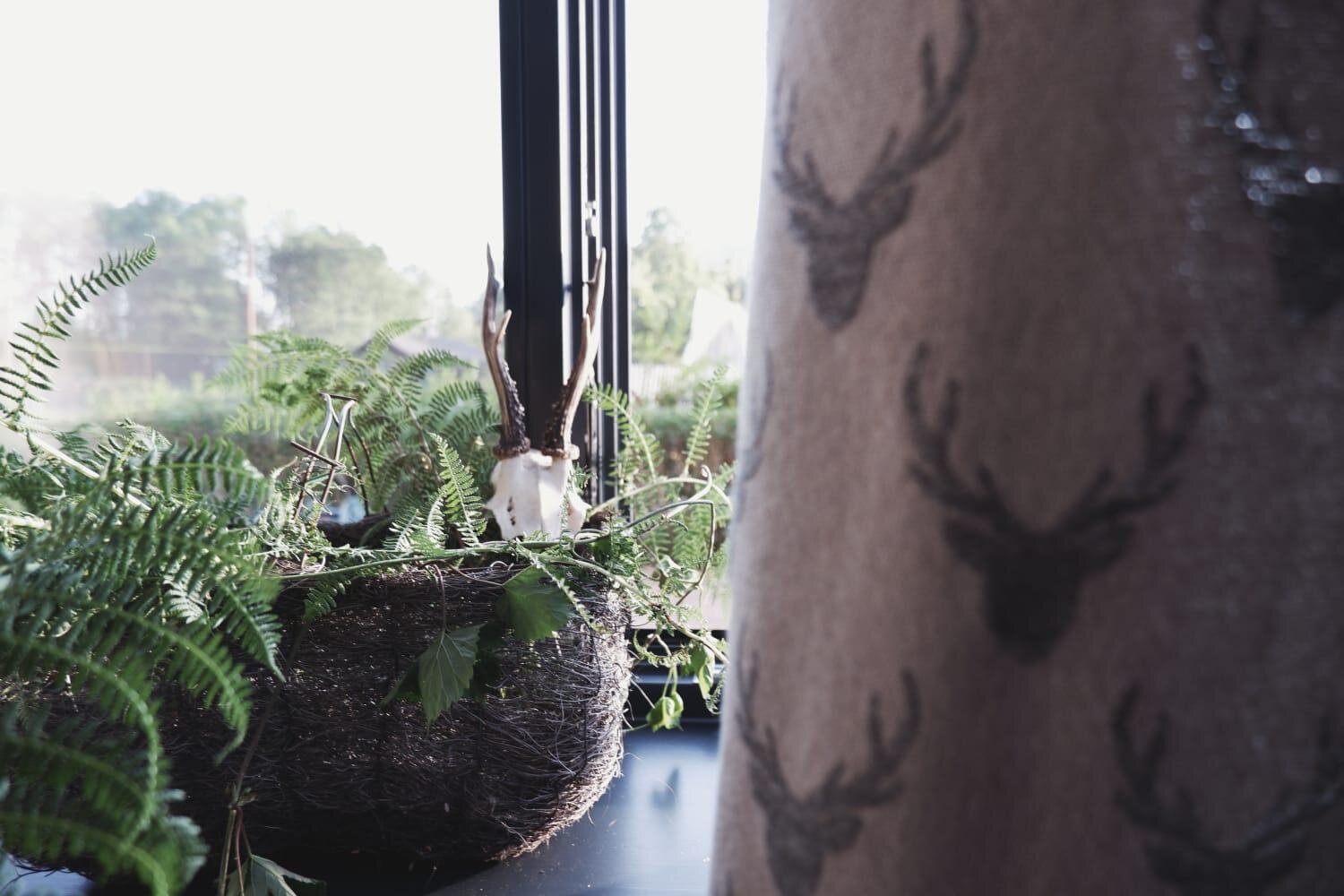 4F18E104-D0BE-4B0E-86A2-4DA865300B74