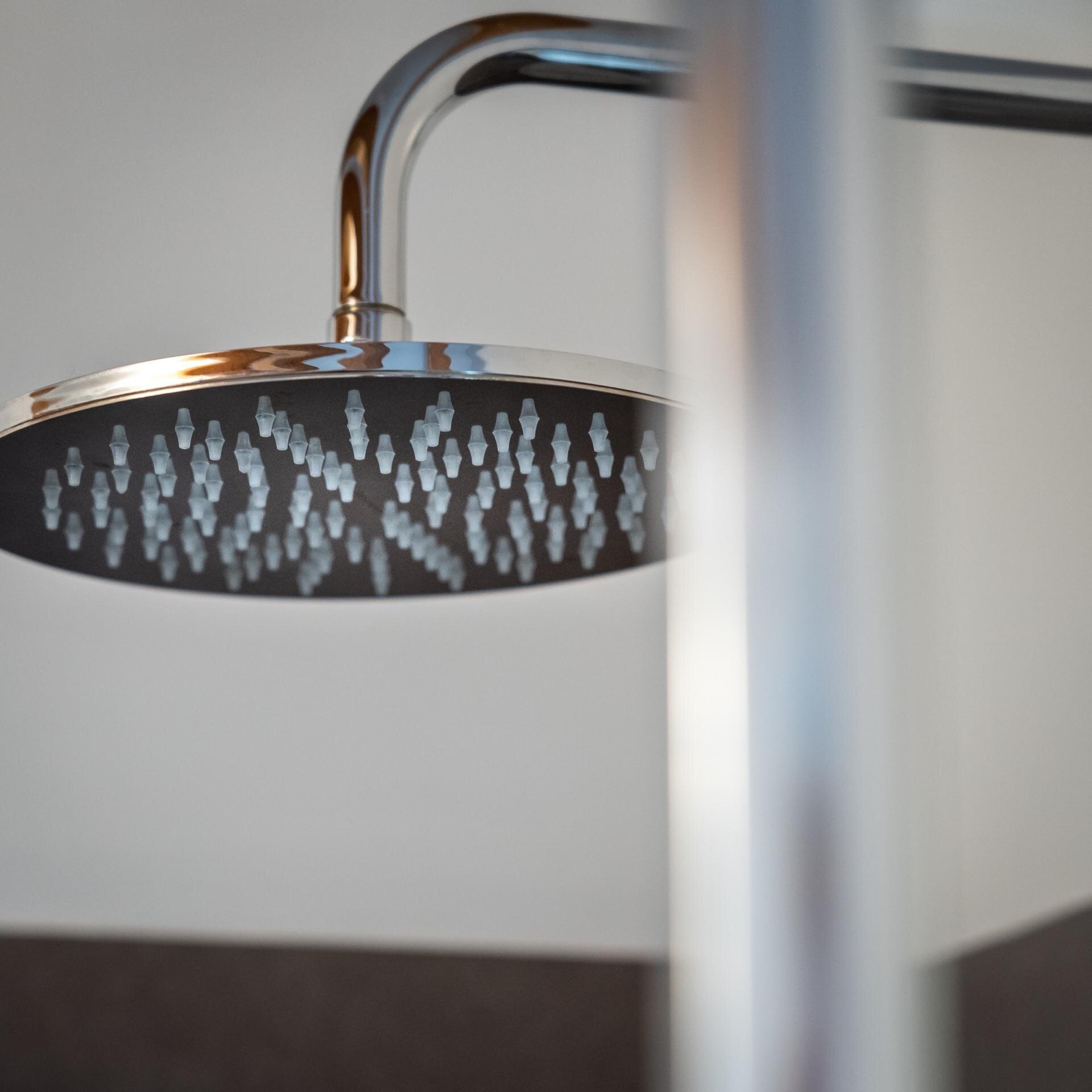 Images Trn 1 39007bce 4414 47fa 8a40 67282a45c373 99 Image