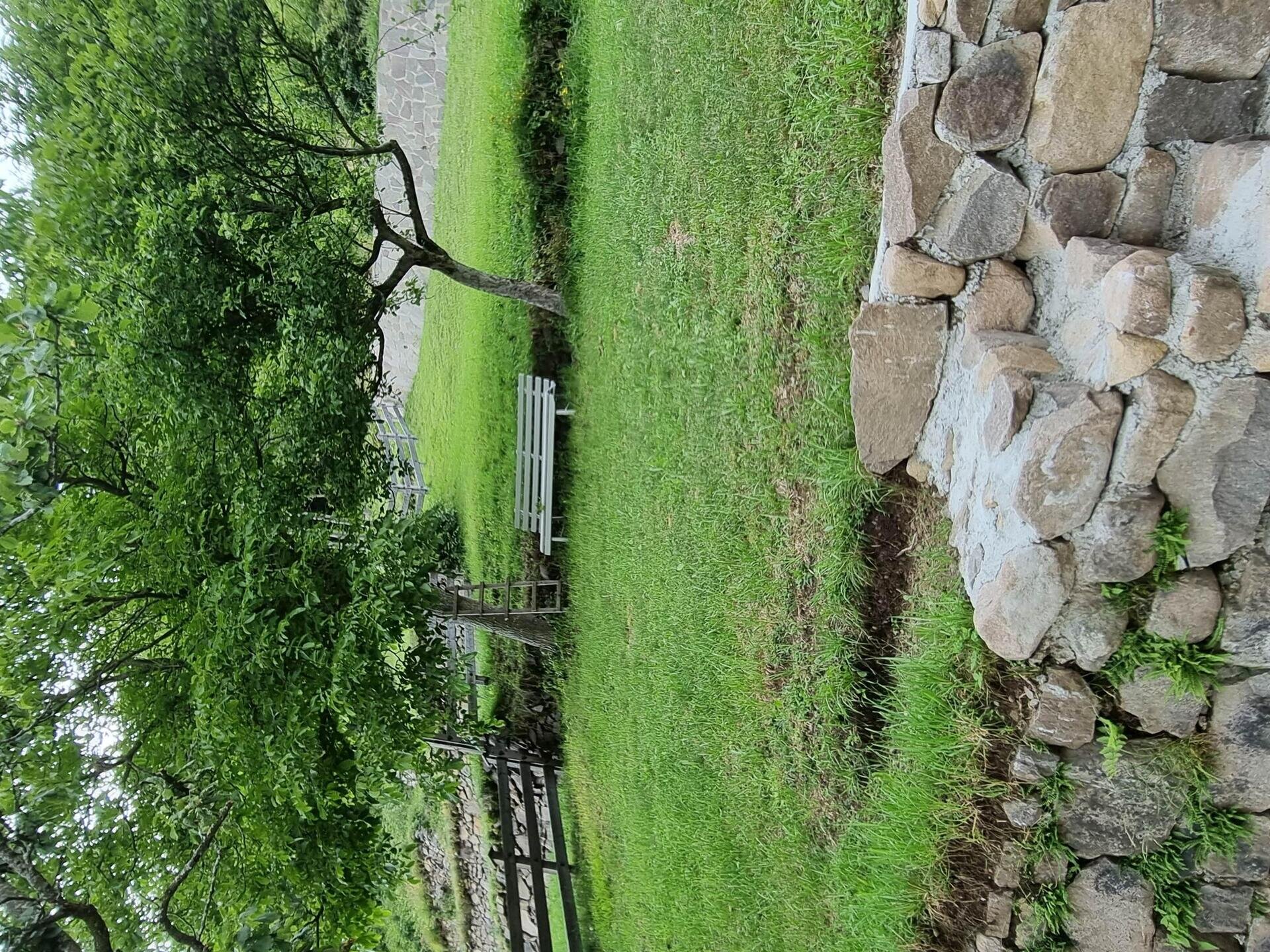 Foto Panchina giardino alto