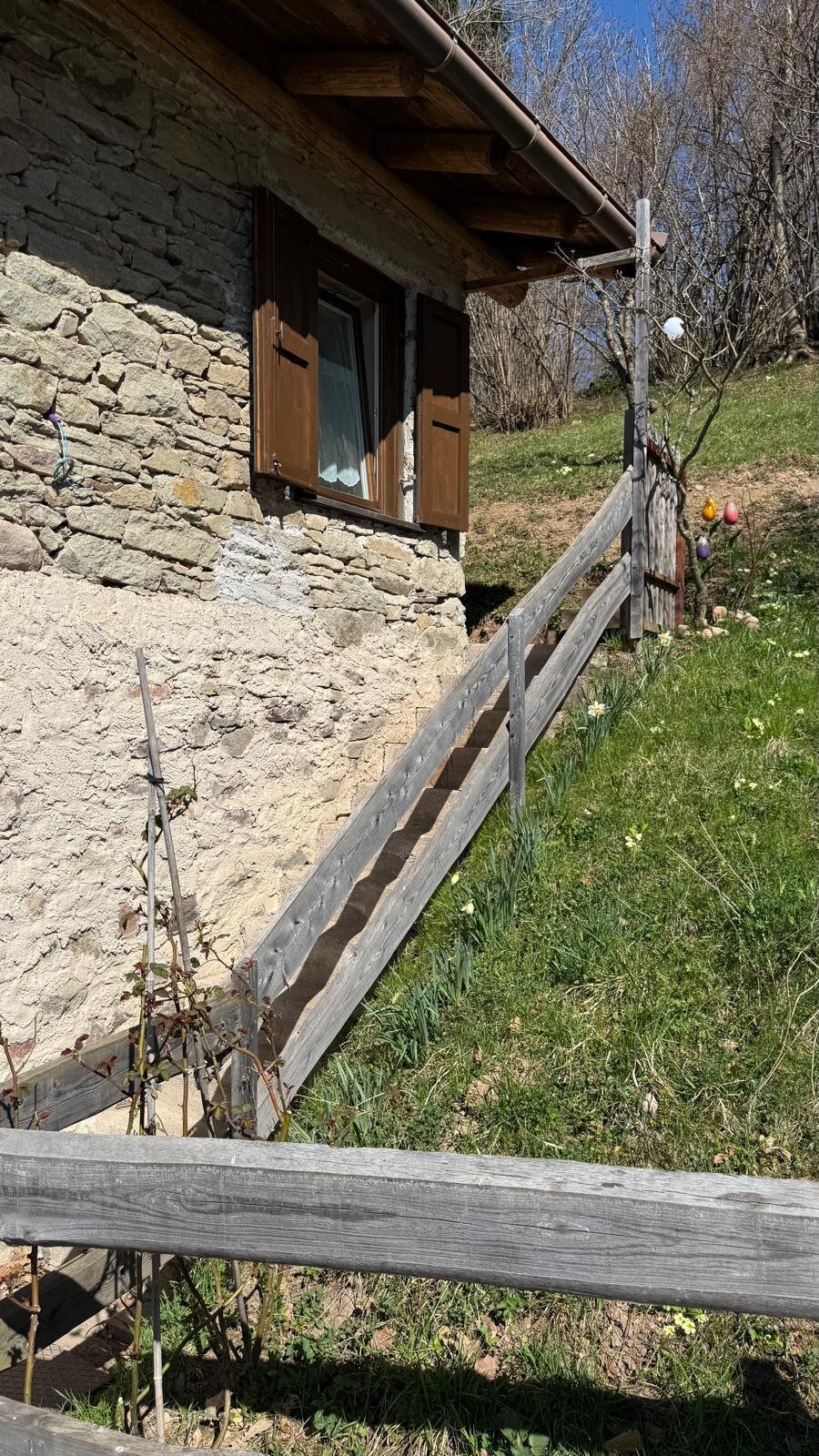 WhatsApp Image 2025-04-06 at 17.14.29