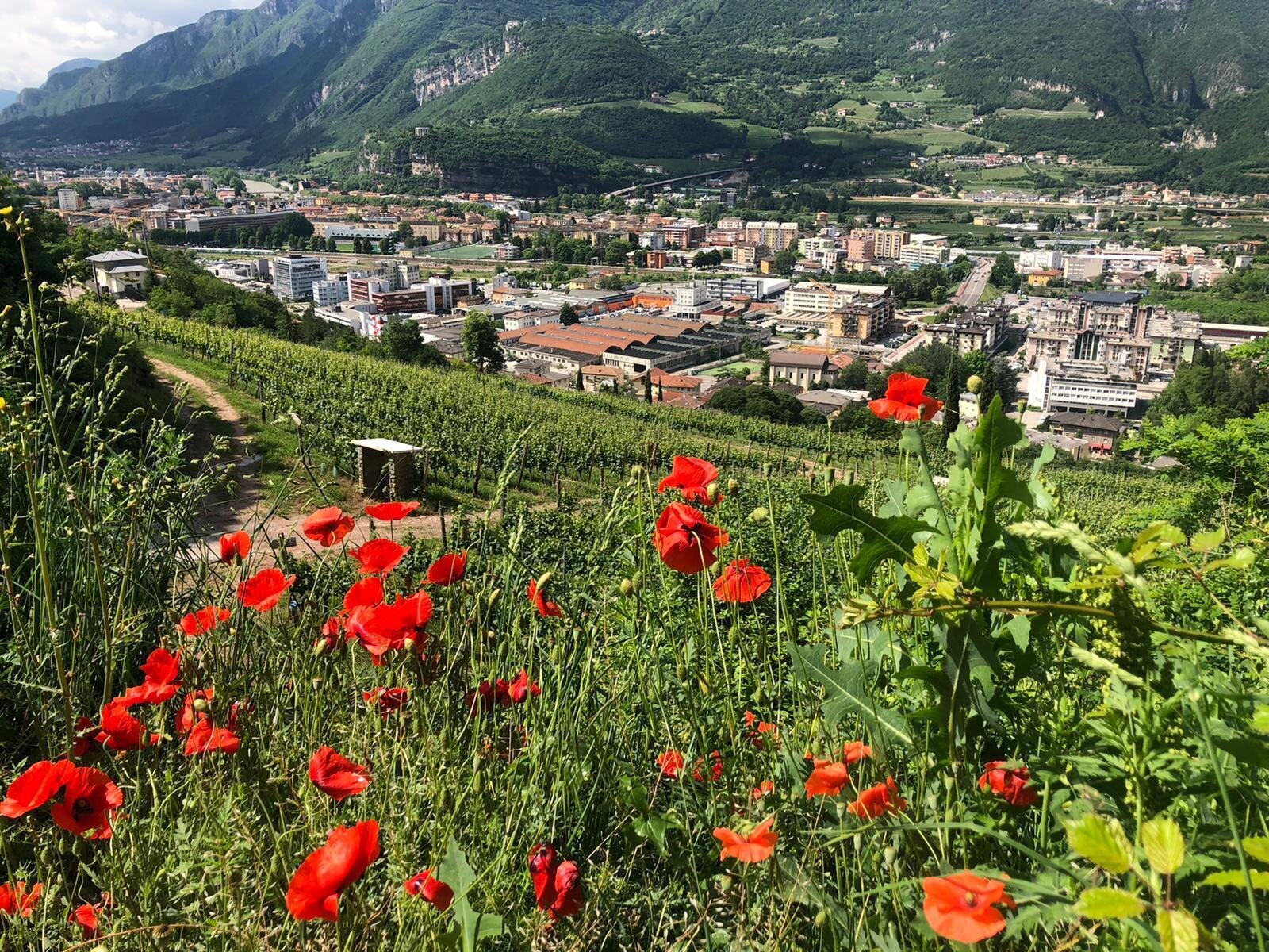 f893f146-708b-4163-9cee-c96caa04b0d9