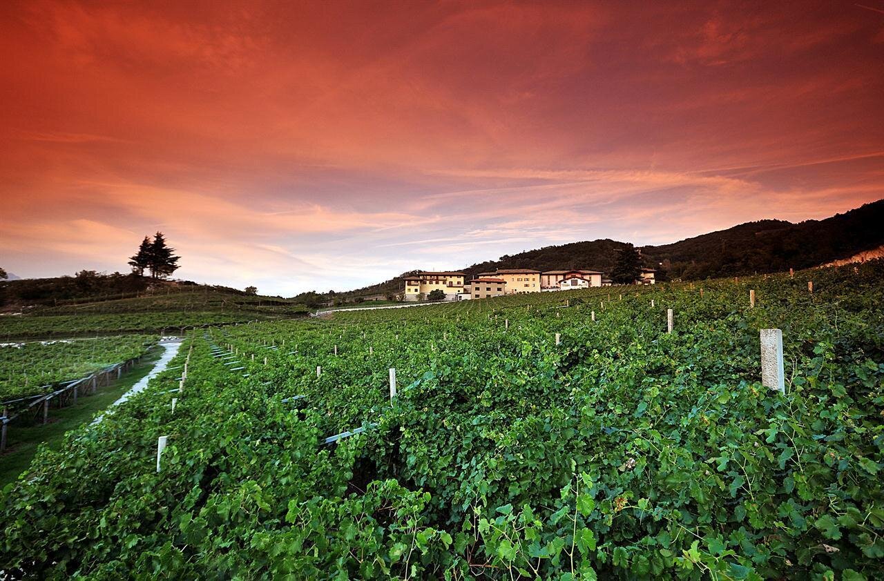 Agritur Villa Warth Panorama
