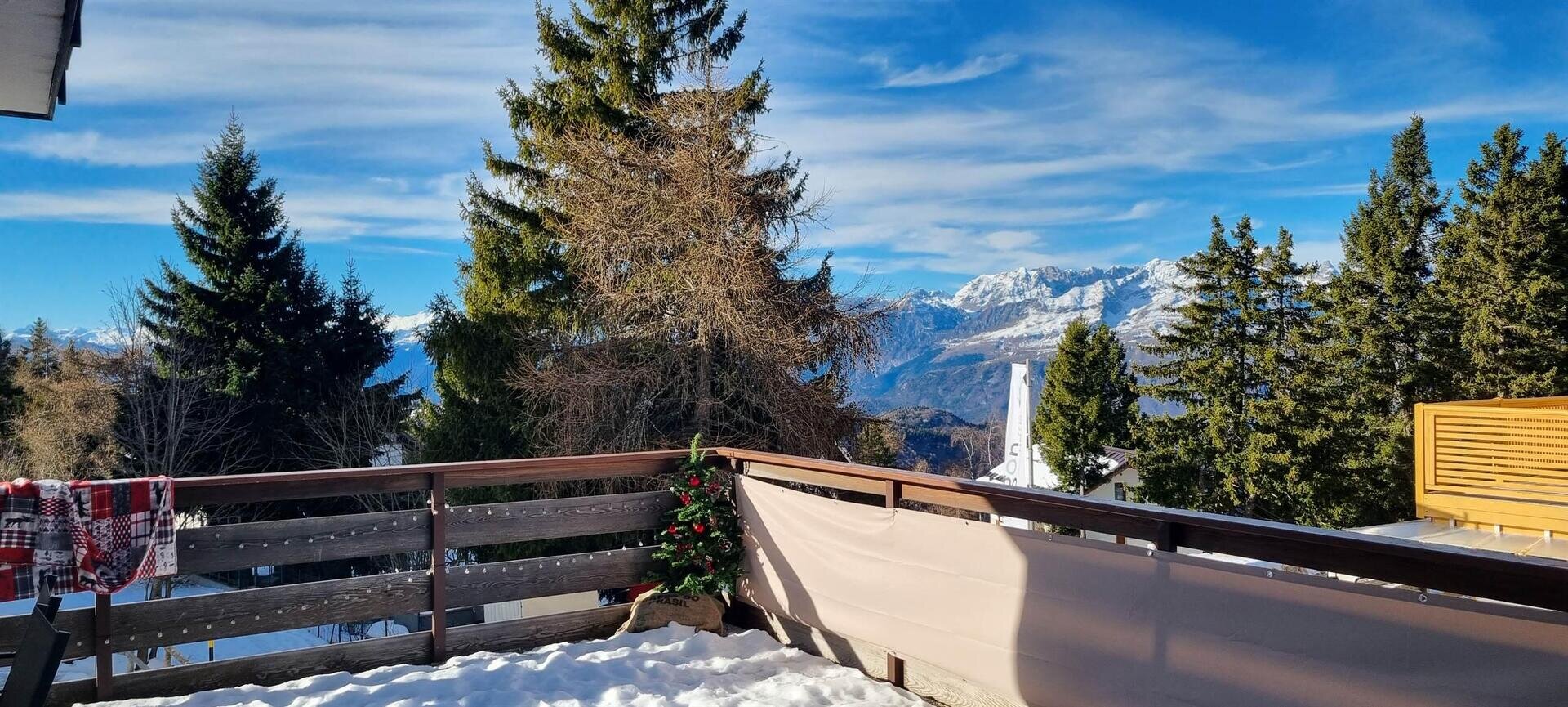 Images Trn 1 564146c4 A3d7 495d 9fb8 62a12e85f2ba 99 Image