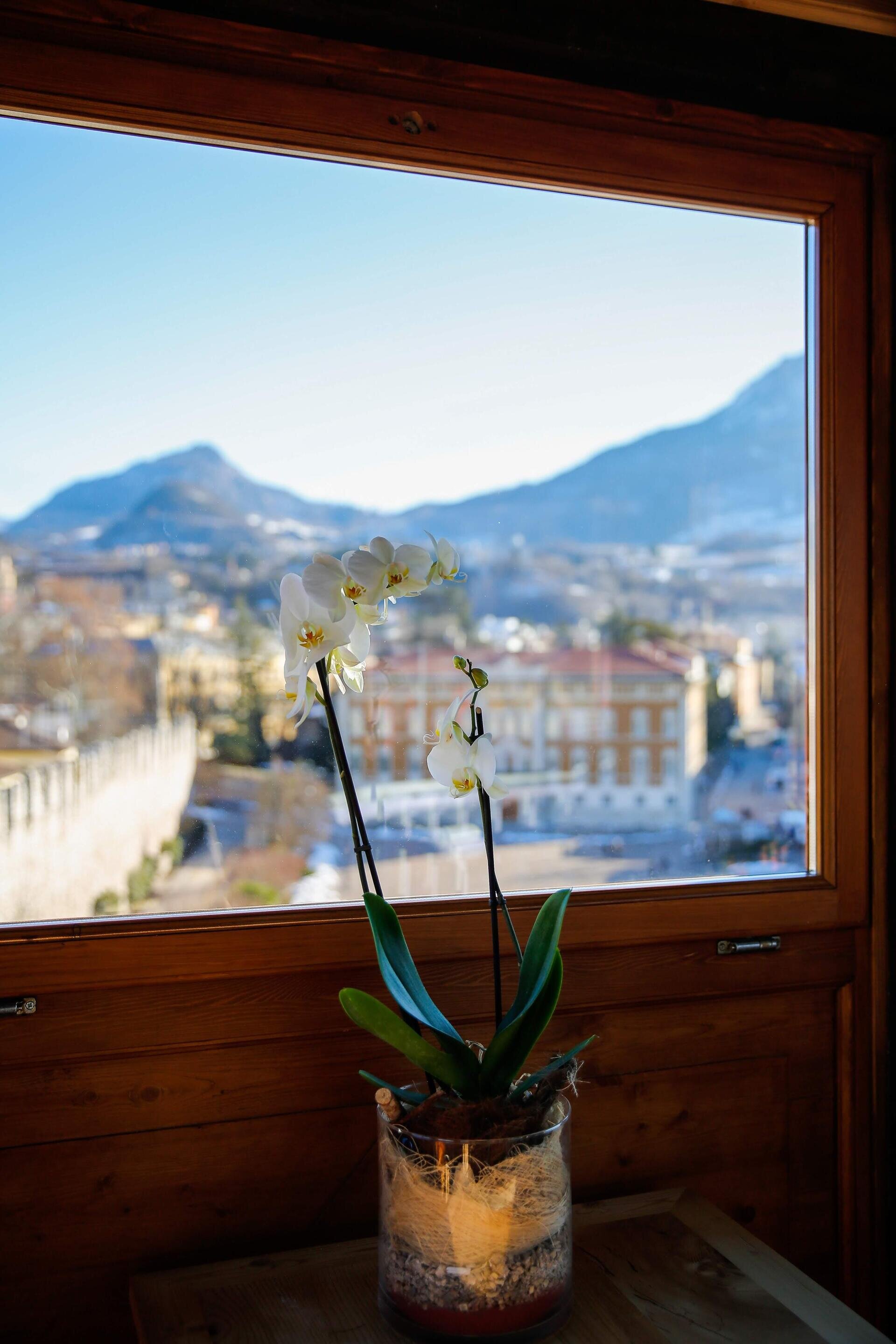 B&B IL TORRIONE - Trento (40)