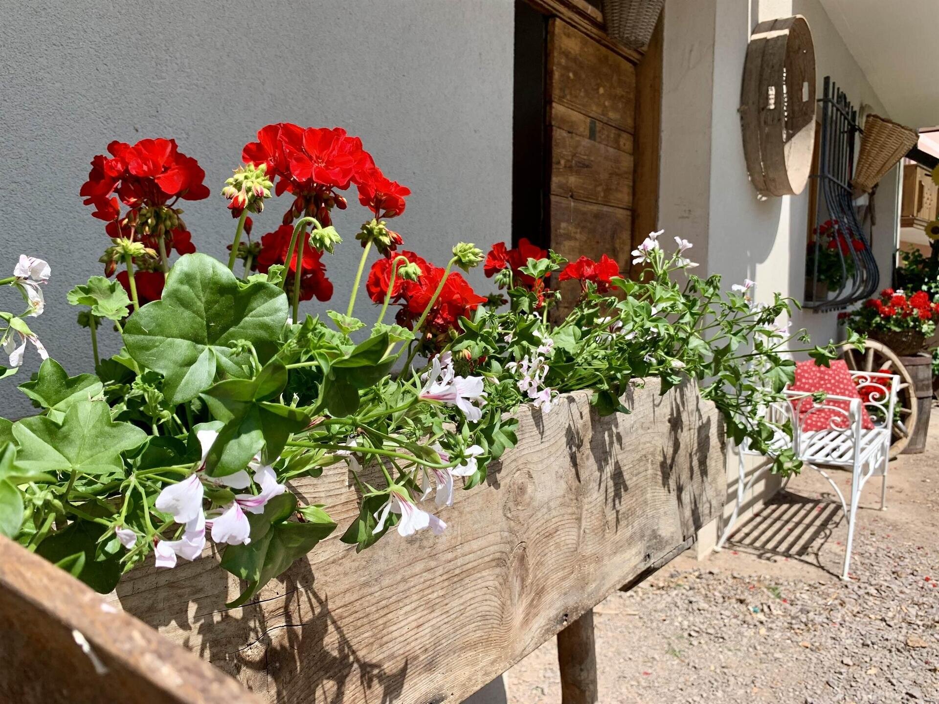 9E22D4F4-D4F7-4C16-A8F7-42AC248B918F