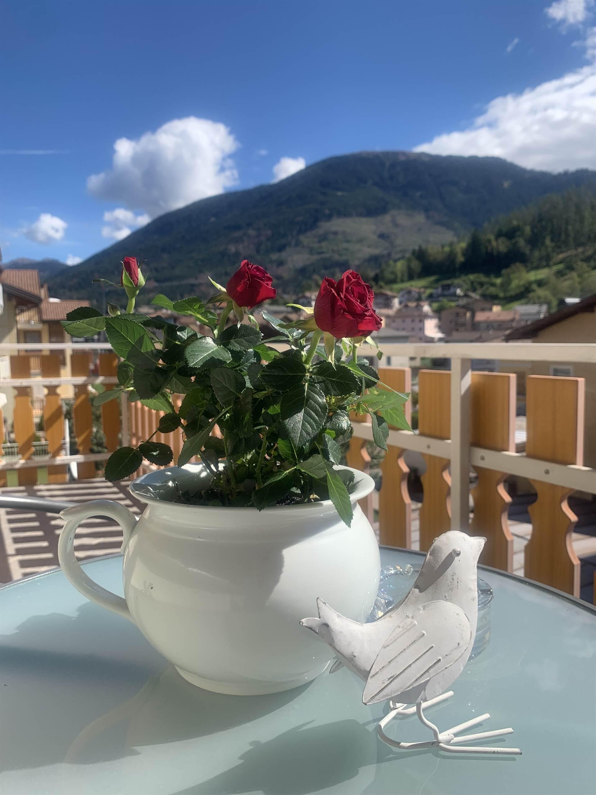 B979F7B1-587E-4615-8697-4768C94FF952