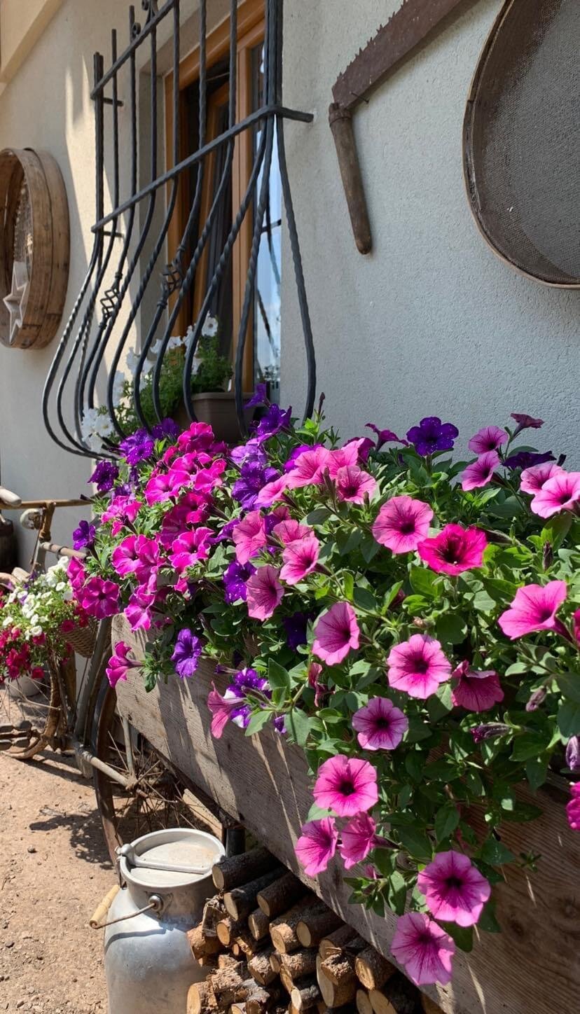 25E7FD47-2A5F-49F4-8450-15E19BF0F385