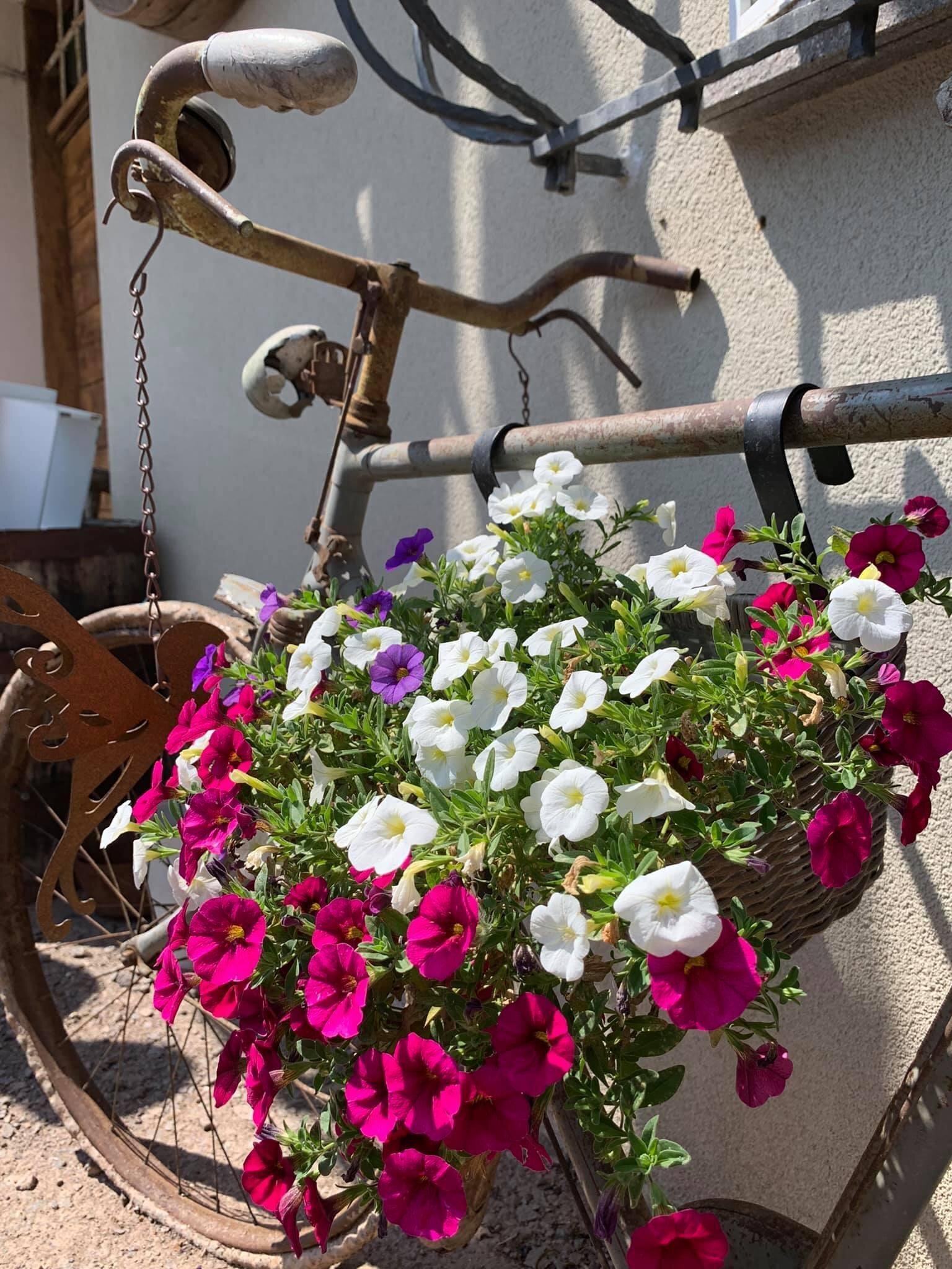 90DB9AB9-A376-4D1A-A20B-80EB1054D97A