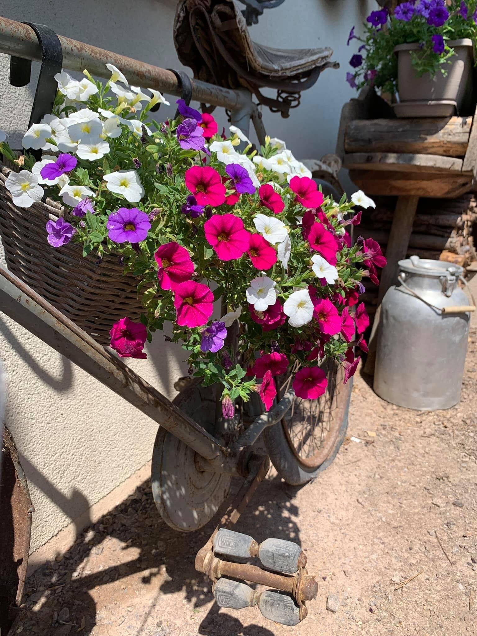 D5402241-6E46-4225-9800-BB24D205519E