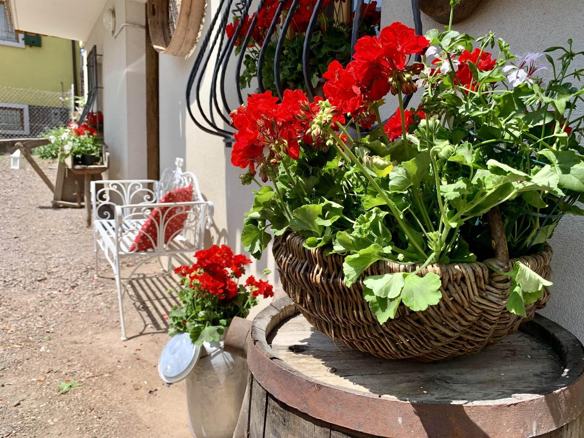 C8231E76-0AA8-4AC3-9BA2-F704EFC62CCB