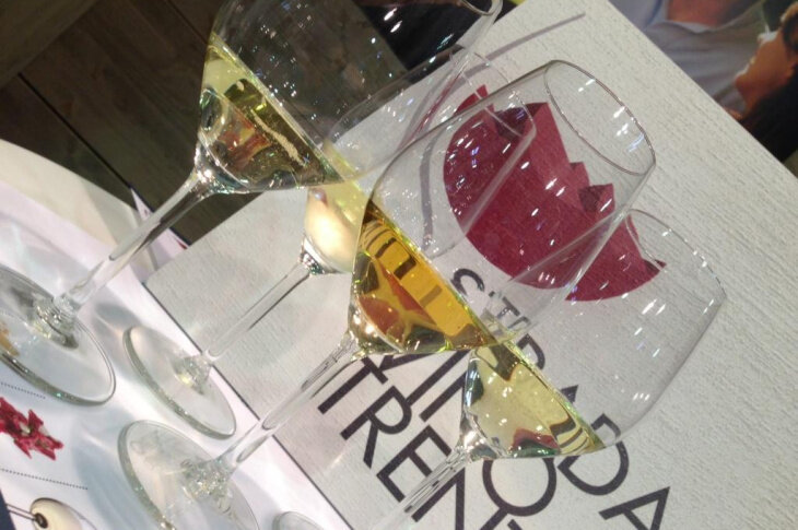 A tutto Muller - Strade del Vino e dei Sapori del Trentino