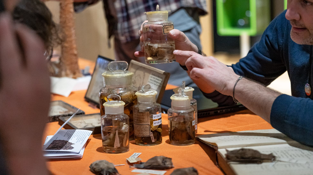 Content Dam Org 7 Images Full Rights Eventi Trento Muse 2023 2024 All Nighter Muse All Nighter 3