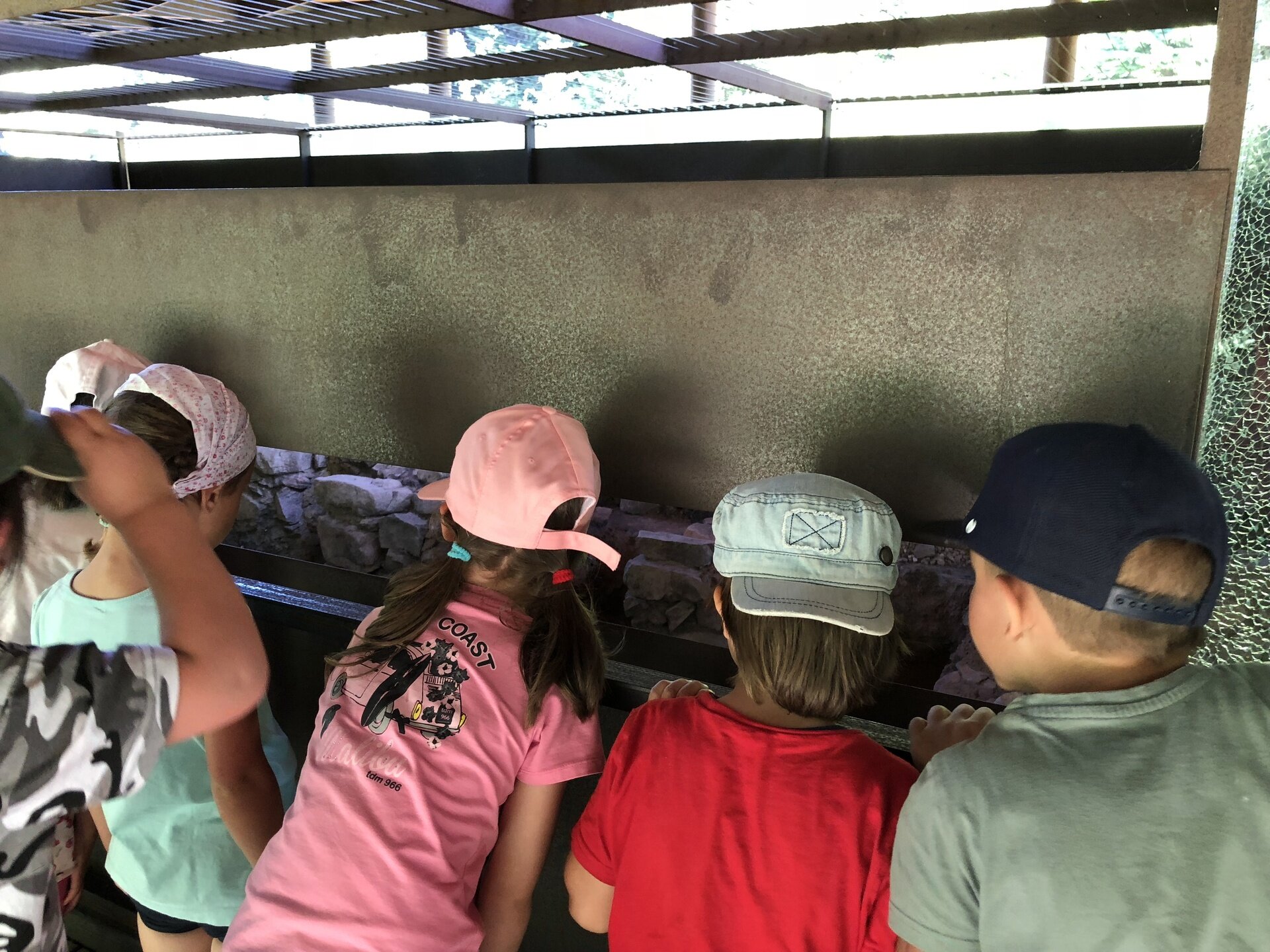 Content Dam Org 7 Images Full Rights Eventi Baselga Di Pine 2025 Area Archeologica Acqua Fredda Luisa 3