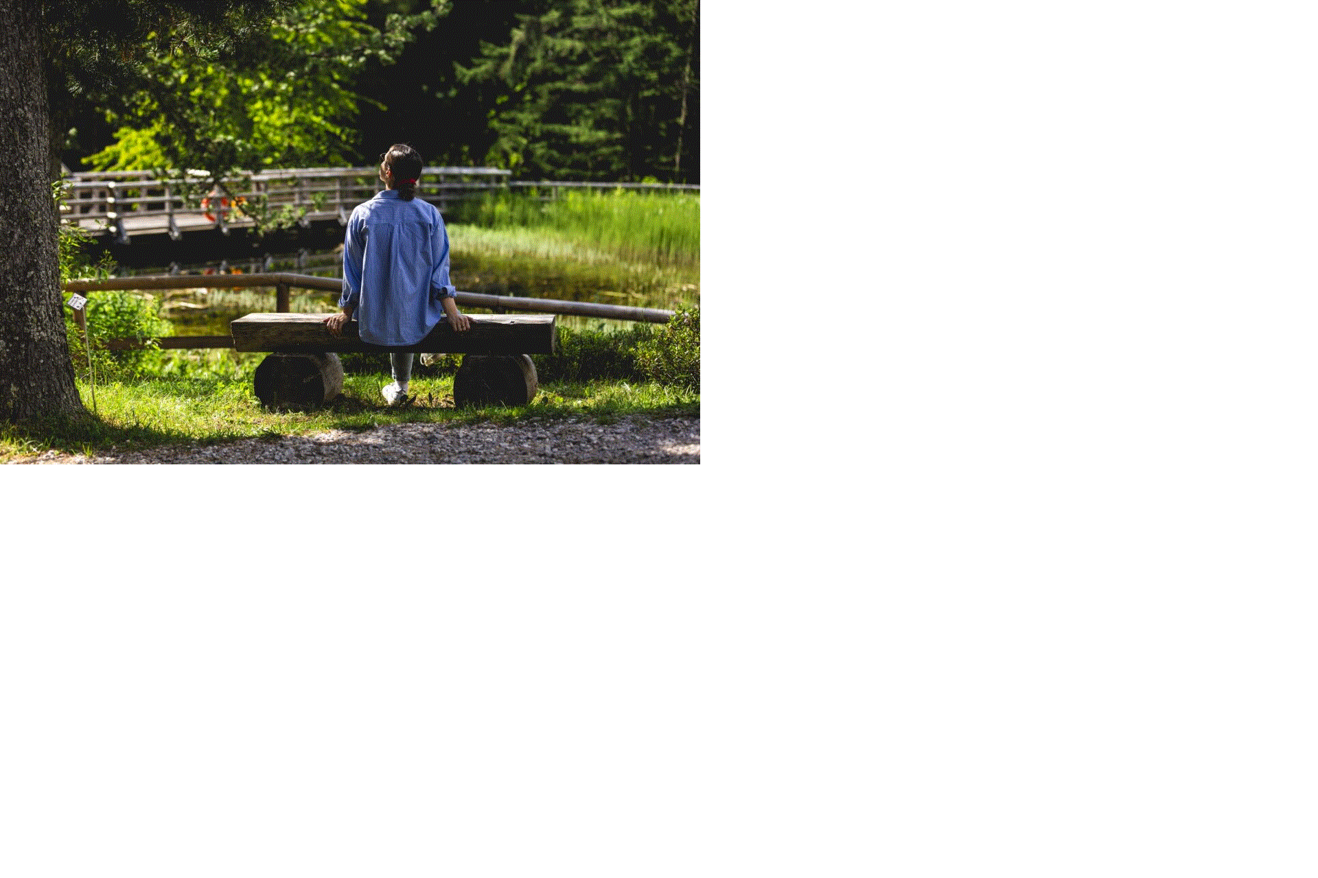 Kunsttherapie – Botanischer Alpengarten Viote – Monte Bondone
