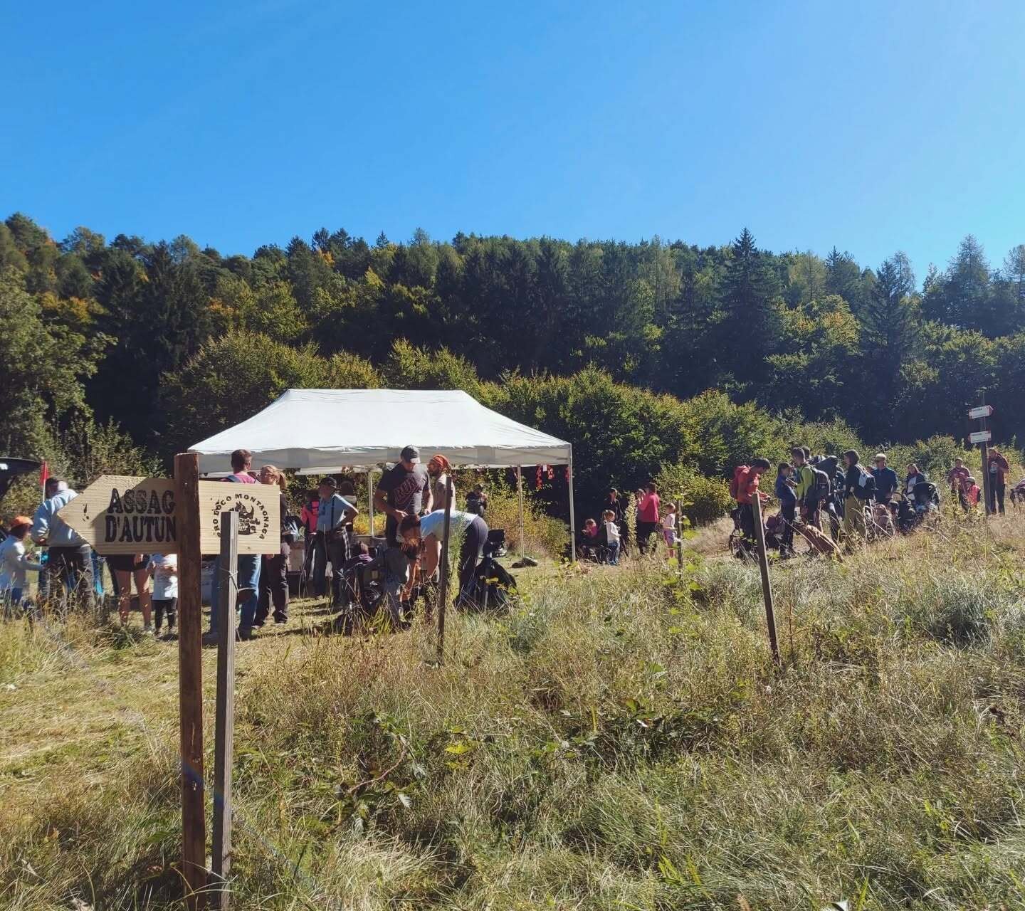 Herbstverkostungen