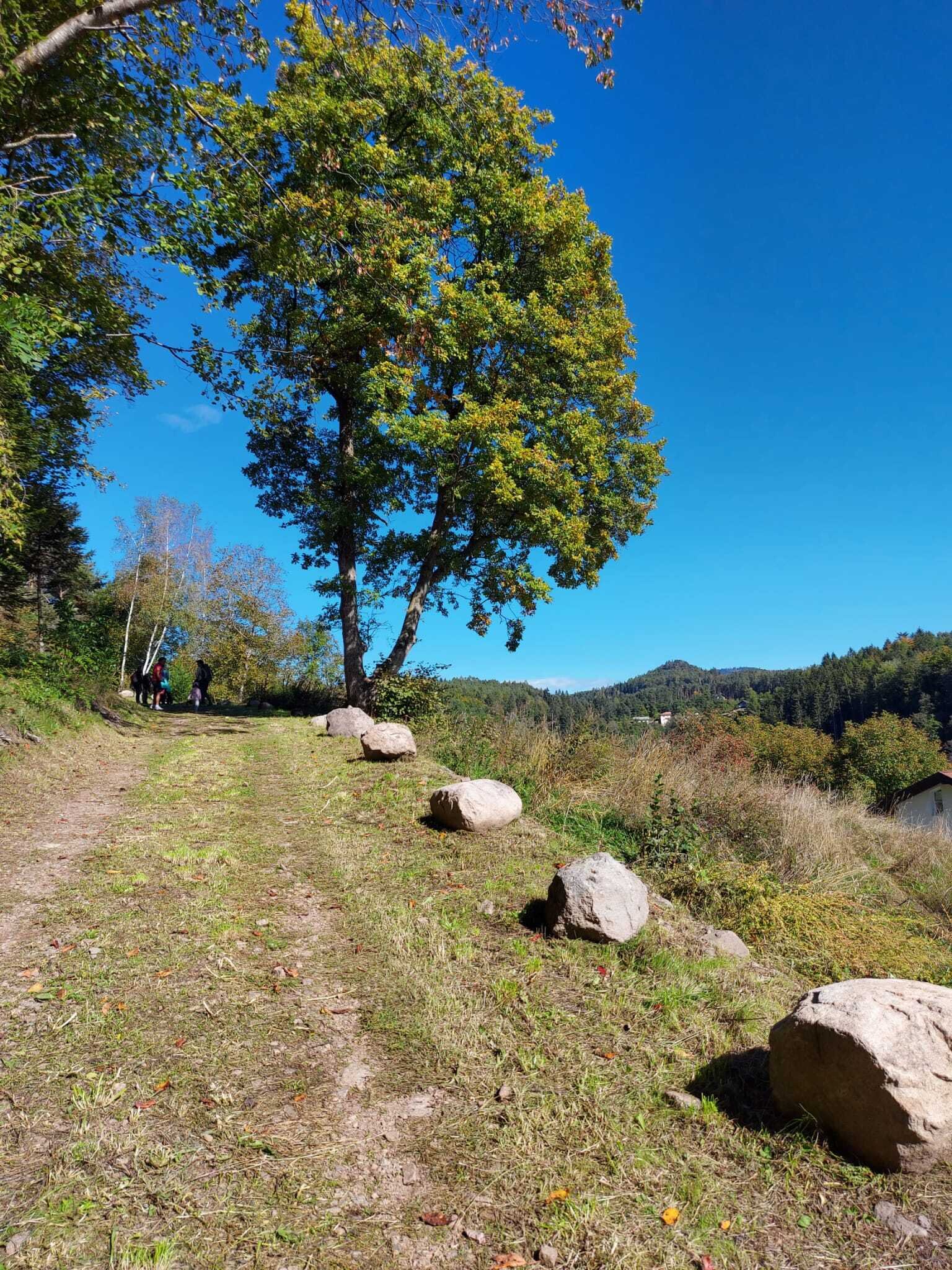 Content Dam Org 7 Images Full Rights Eventi Baselga Di Pine Assaggi D Autunno Assaggi 4