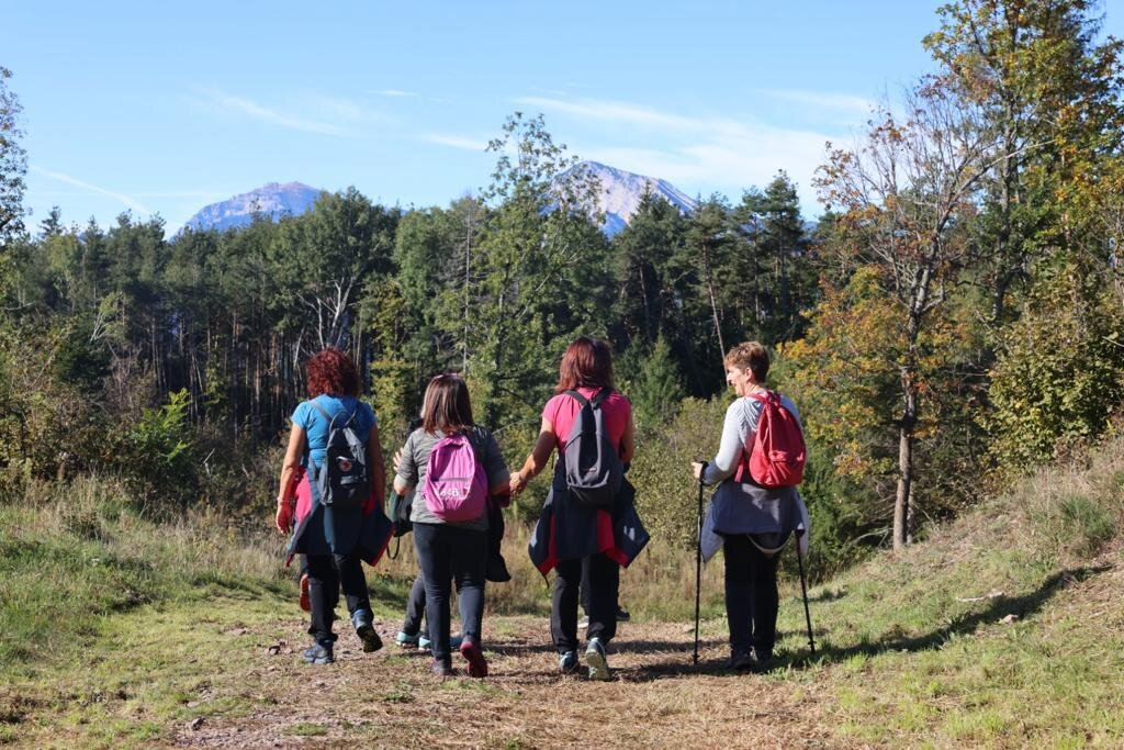 Content Dam Org 7 Images Full Rights Eventi Baselga Di Pine Assaggi D Autunno Assaggi 5