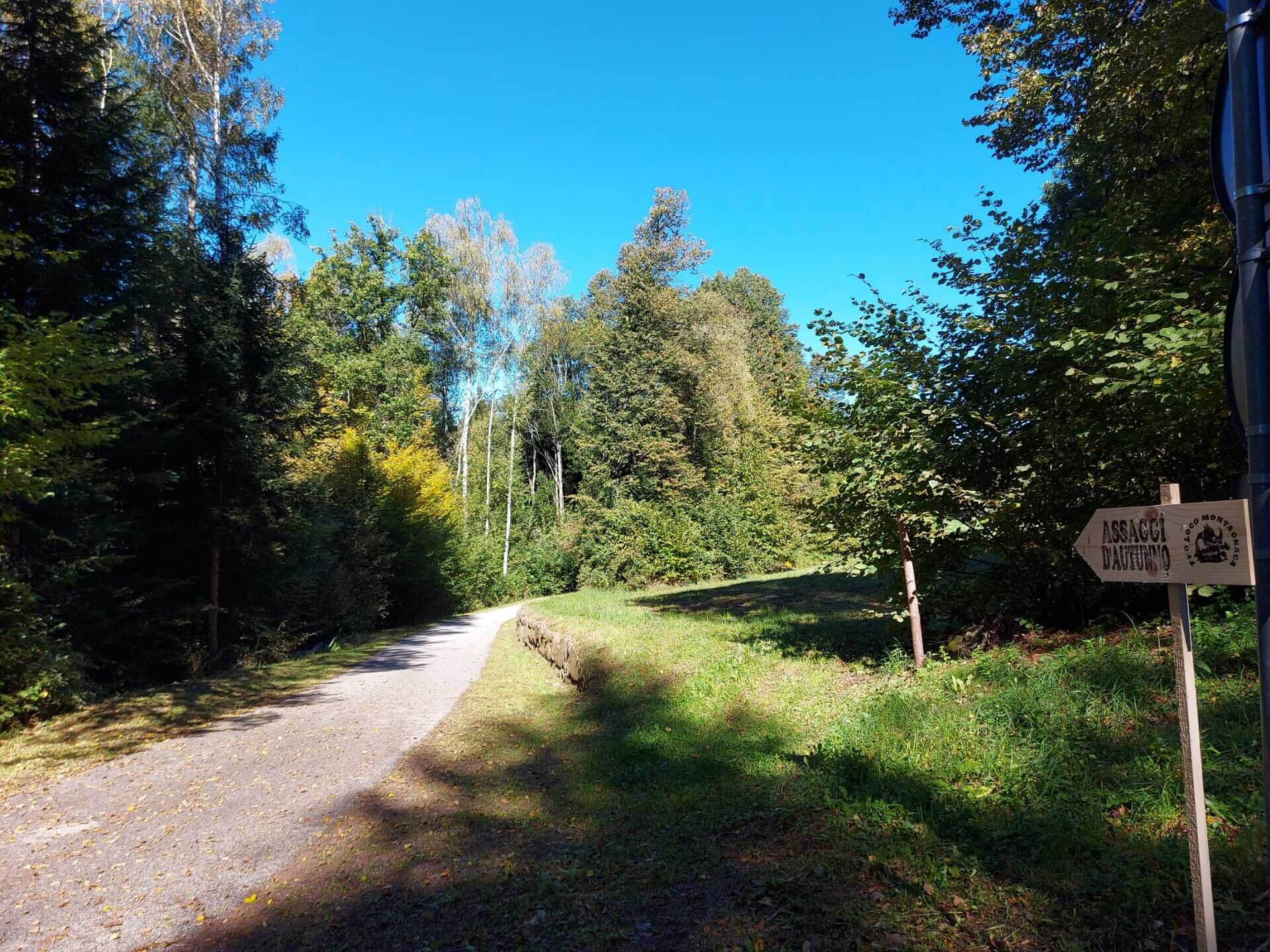 Content Dam Org 7 Images Full Rights Eventi Baselga Di Pine Assaggi D Autunno Assaggi 1