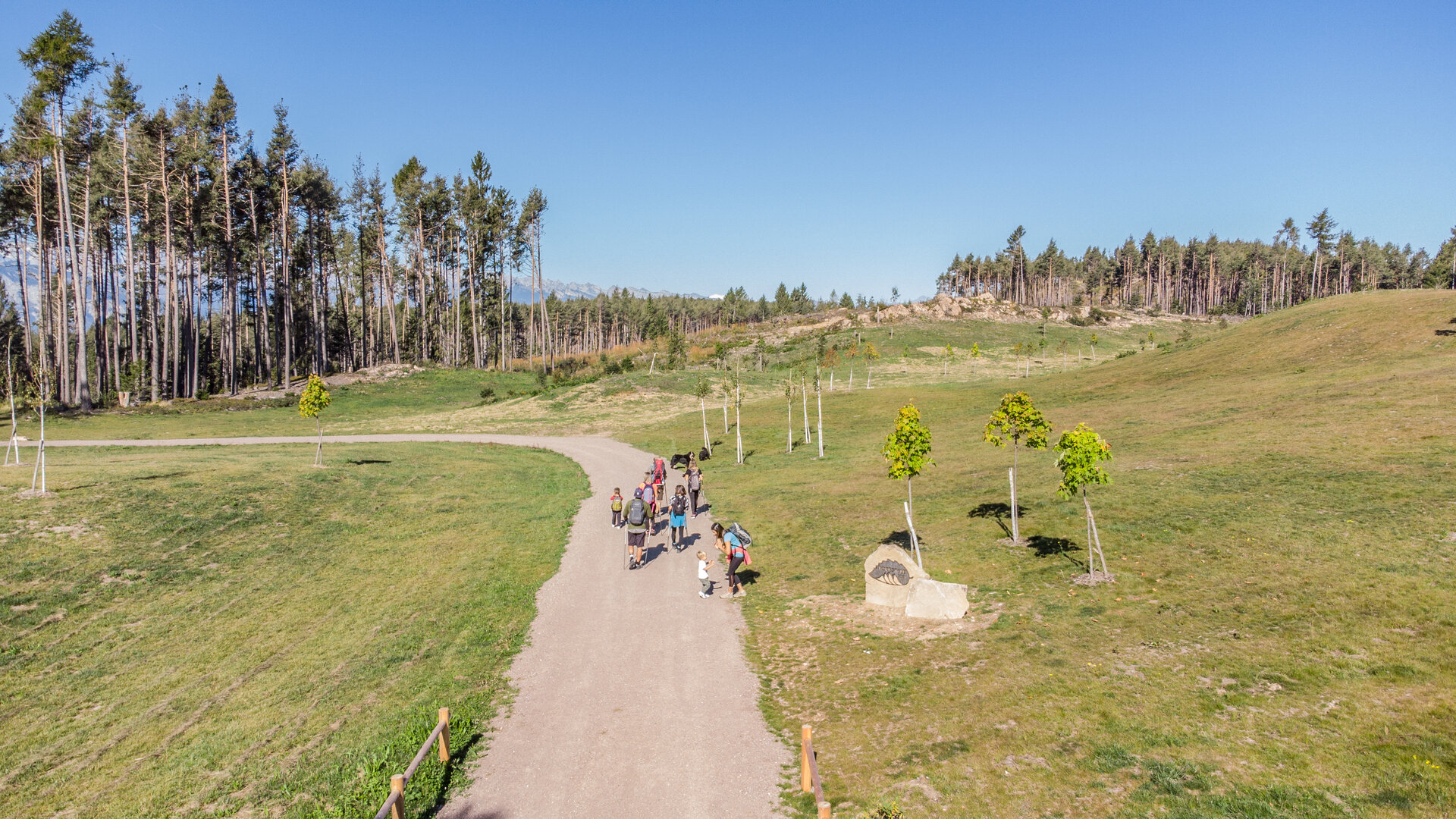 Content Dam Org 7 Images Full Rights Eventi Baselga Di Pine Bedolpian 2 Run Bedolpian Passeggiata Ph A Monticelli 2