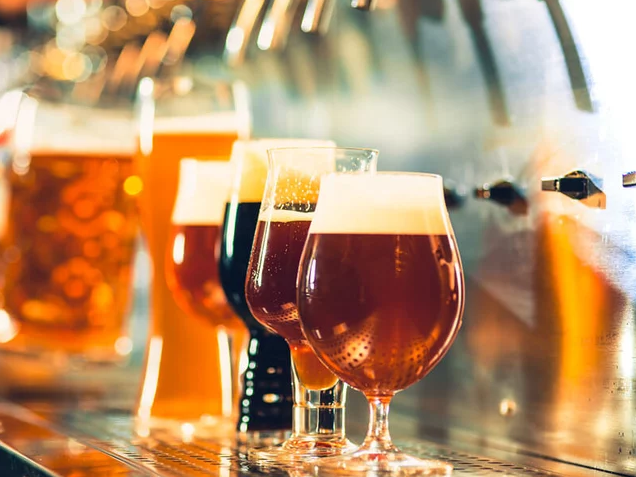 Beer tasting Trentino - Getting to know the craft beer of Trentino - Palazzo Roccabruna