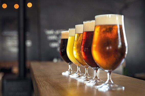 Beer tasting Trentino - Palazzo Roccabruna