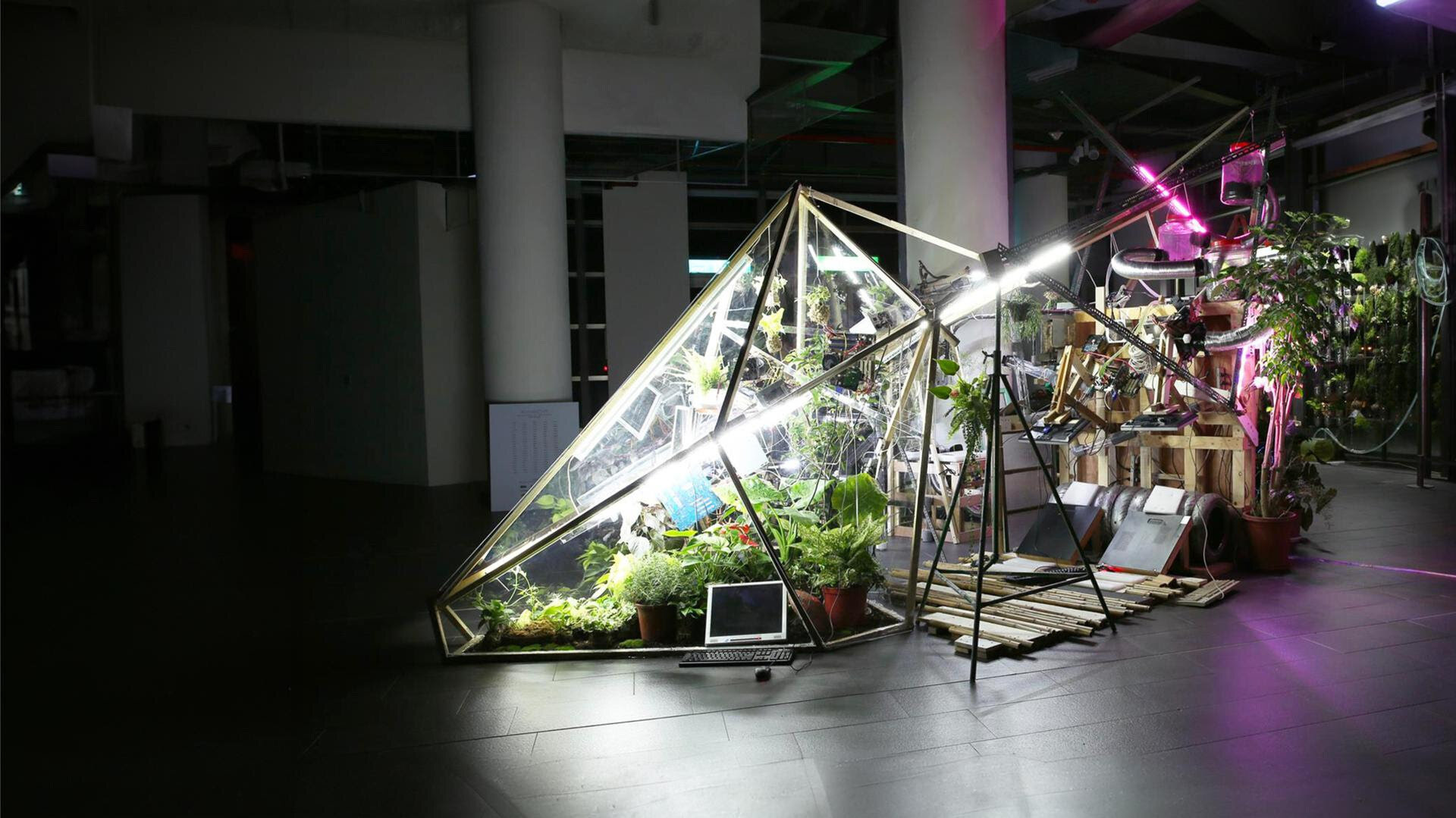 Biomodd [T115] - workshop - MUSE