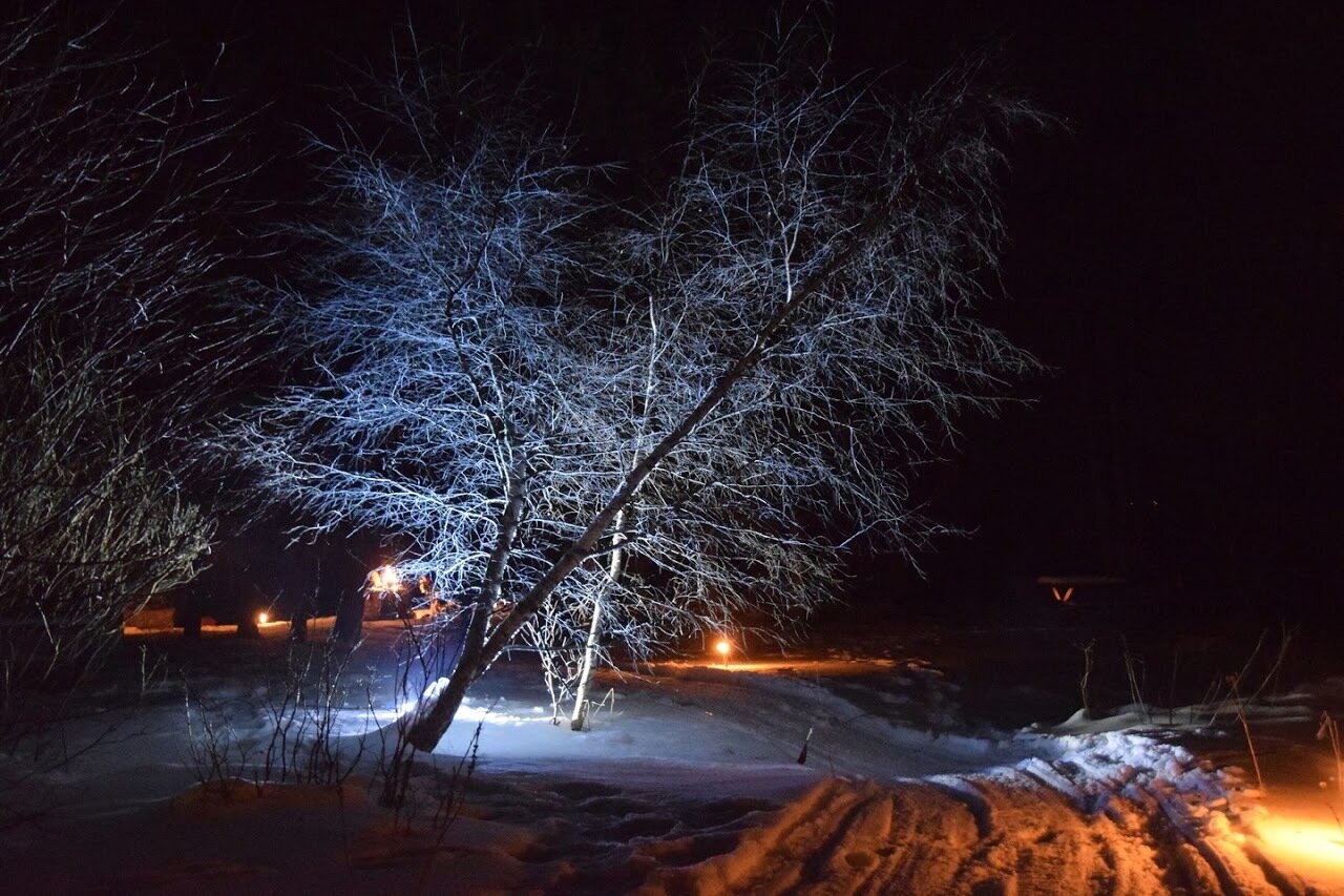 Content Dam Org 7 Images Full Rights Outdoor Sulla Neve Escursioni Con Le Ciaspole Bondonail Bondonail New 1