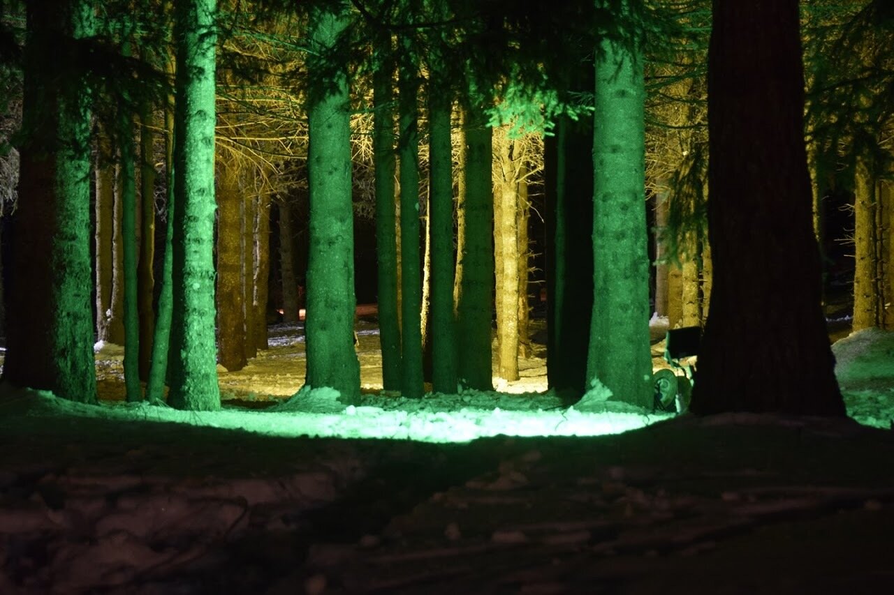 Content Dam Org 7 Images Full Rights Outdoor Sulla Neve Escursioni Con Le Ciaspole Bondonail Bondonail New 5