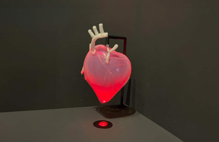 Searching for the Heart - MUSE