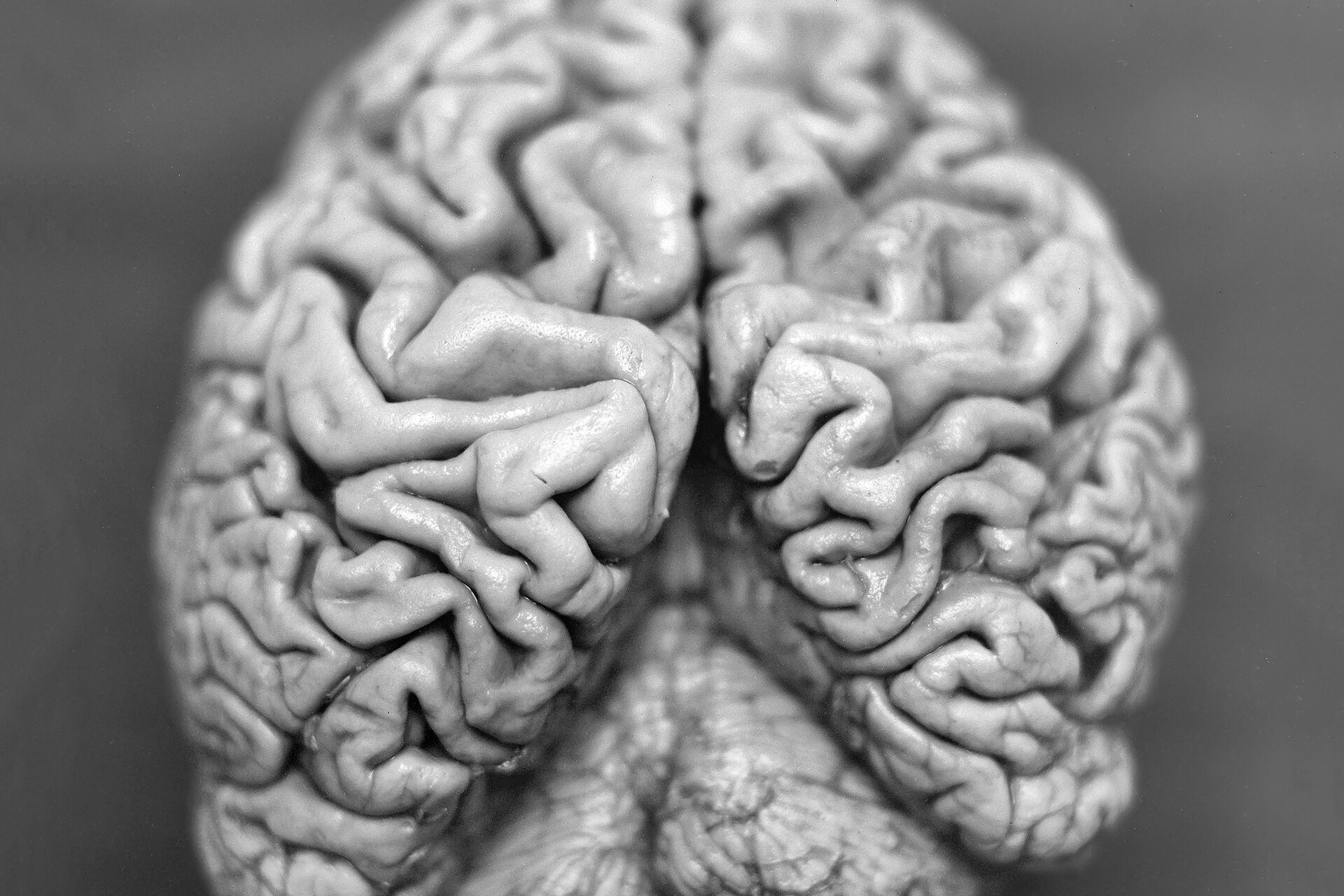 Christian Fogarolli - Decade