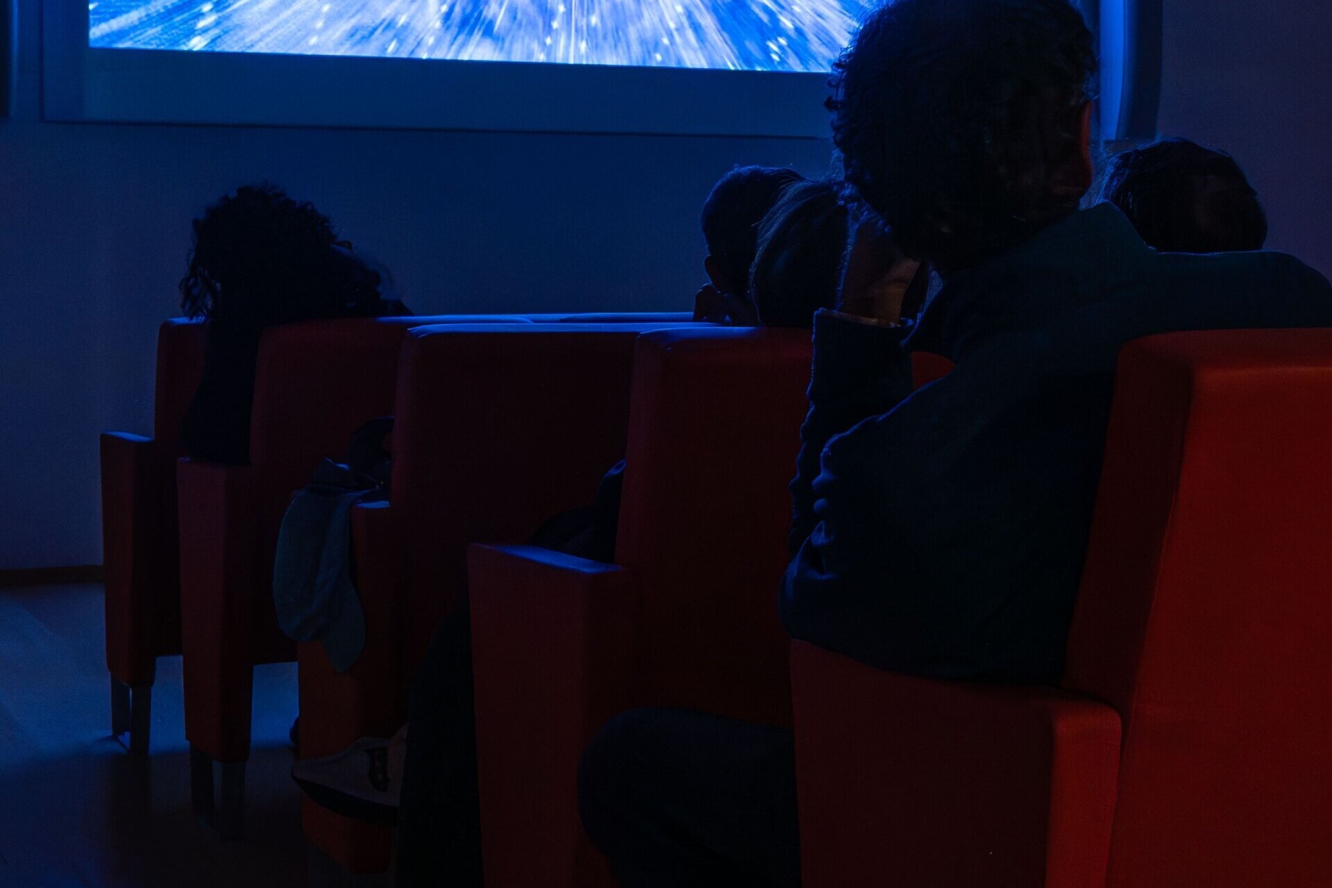 Ciak: scienza! - Film about innovation and nature - MUSE