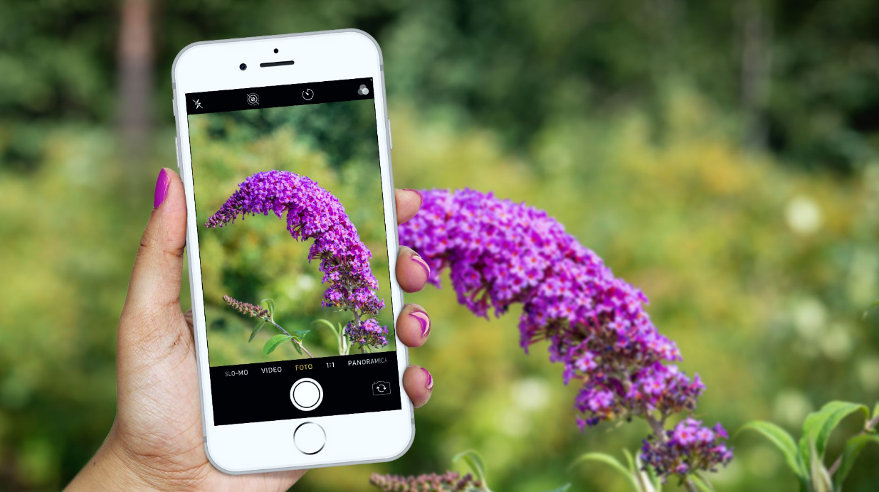 Content Dam Org 7 Images Full Rights Eventi Trento Muse 2023 2024 City Nature Challenge City Nature Challenge Cover