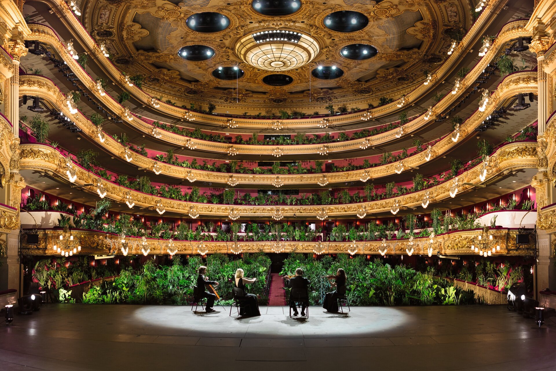 Antopocene Collection - MUSE