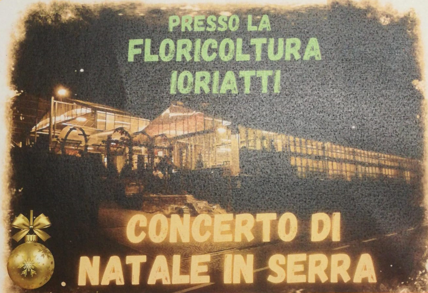 Content Dam Org 7 Images Full Rights Eventi Baselga Di Pine Concerto In Serra Ph Ioriatti